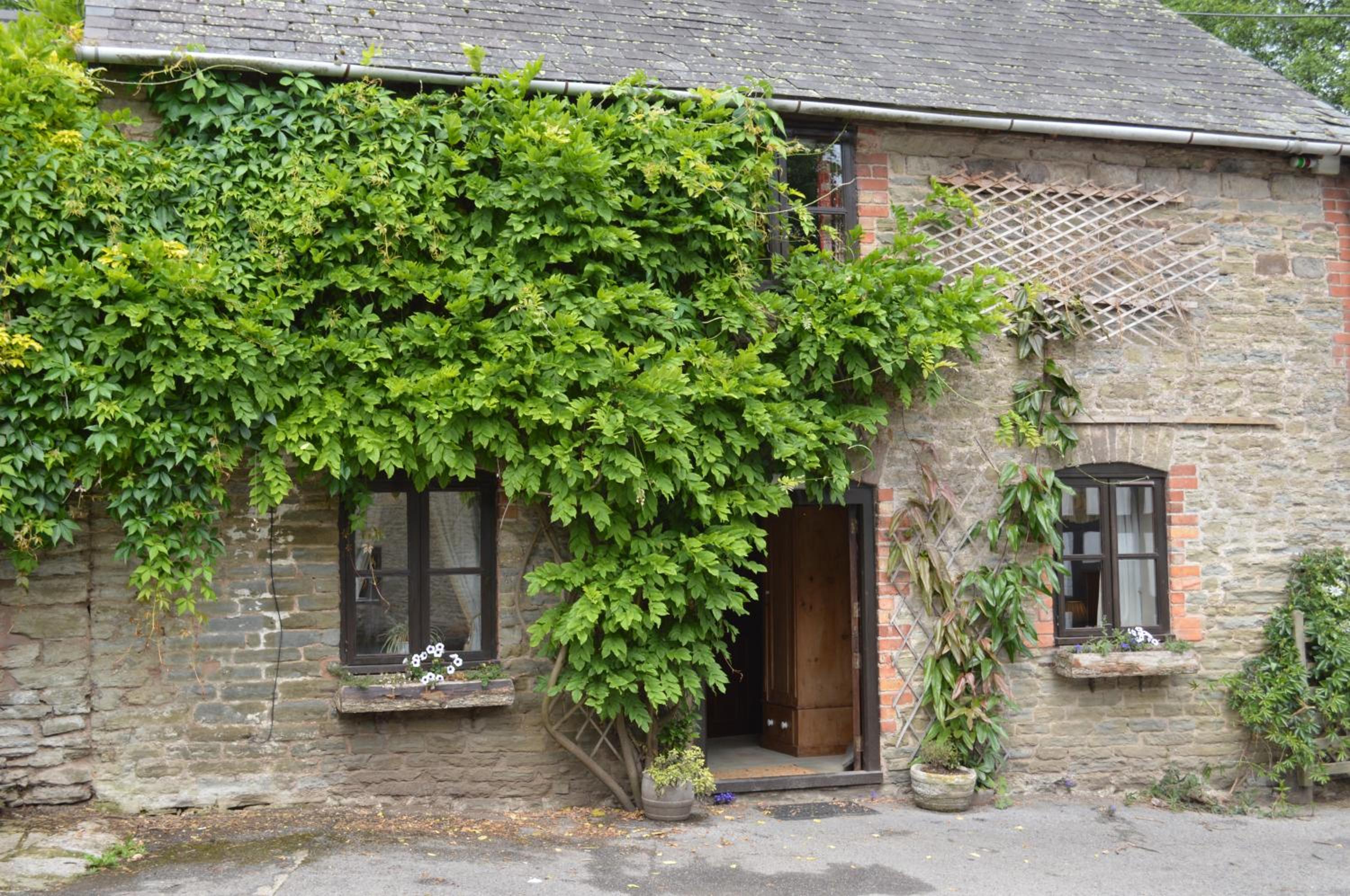Riverside Inn, Aymestrey view 5