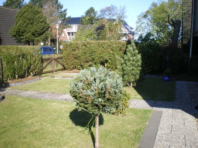 Photo 61