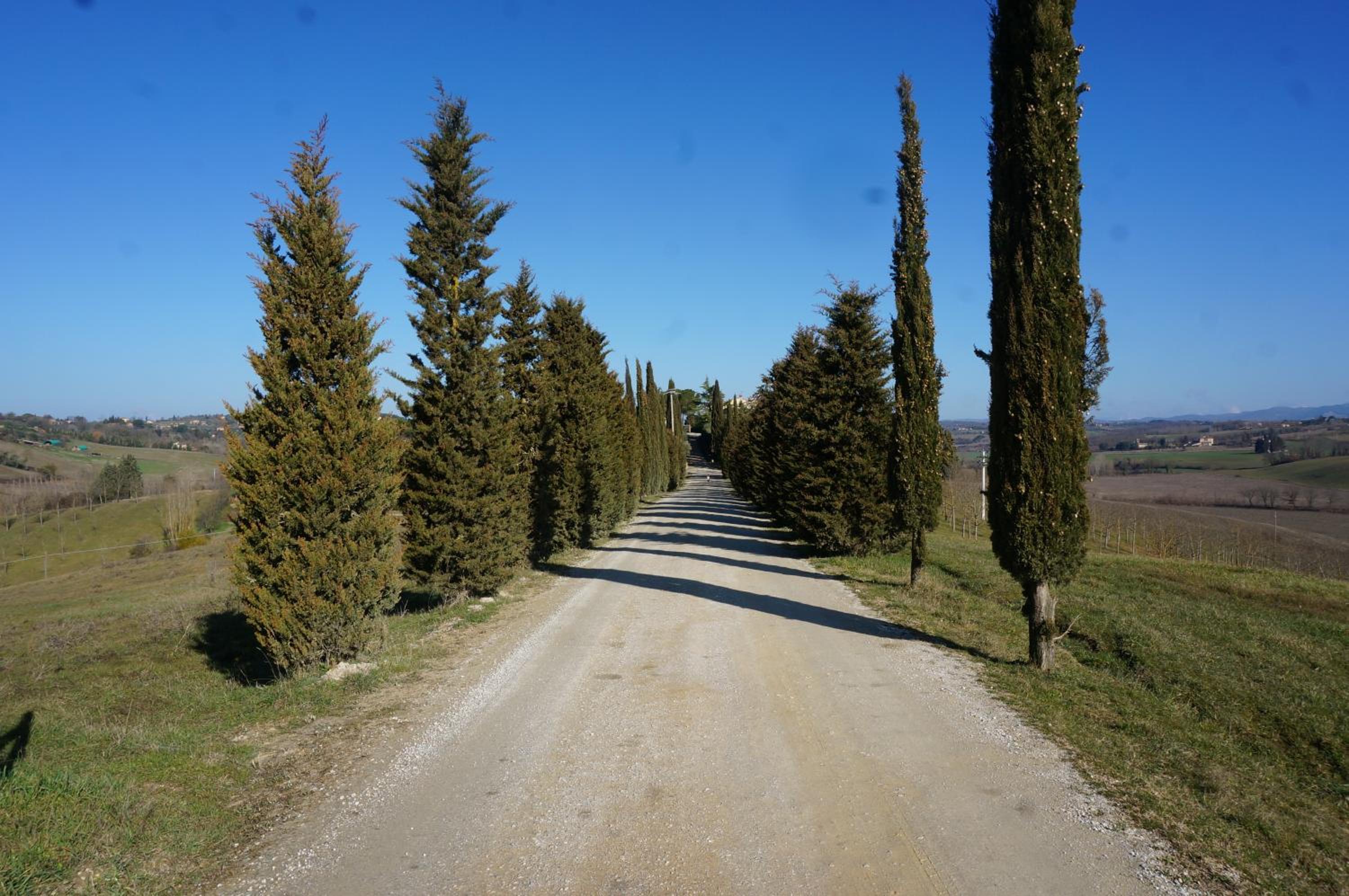 Agriturismo Il Colle