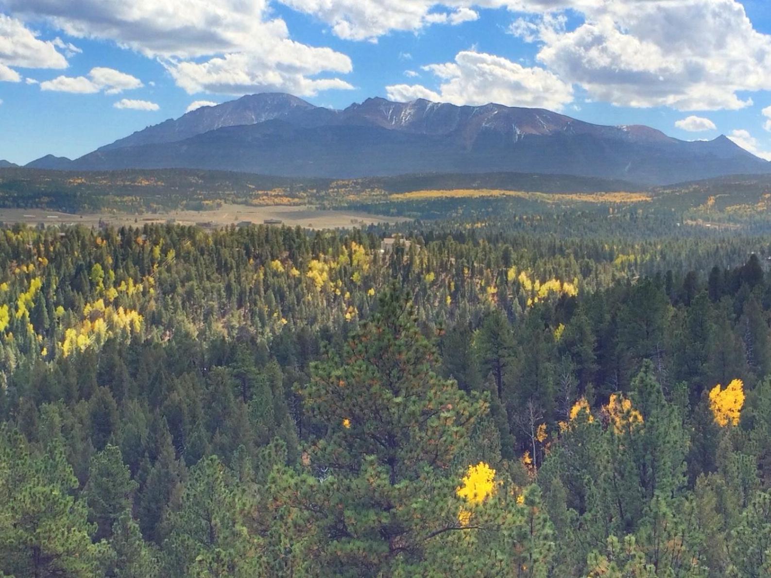 Pikes Peak Paradise Bed and Breakfast view 4