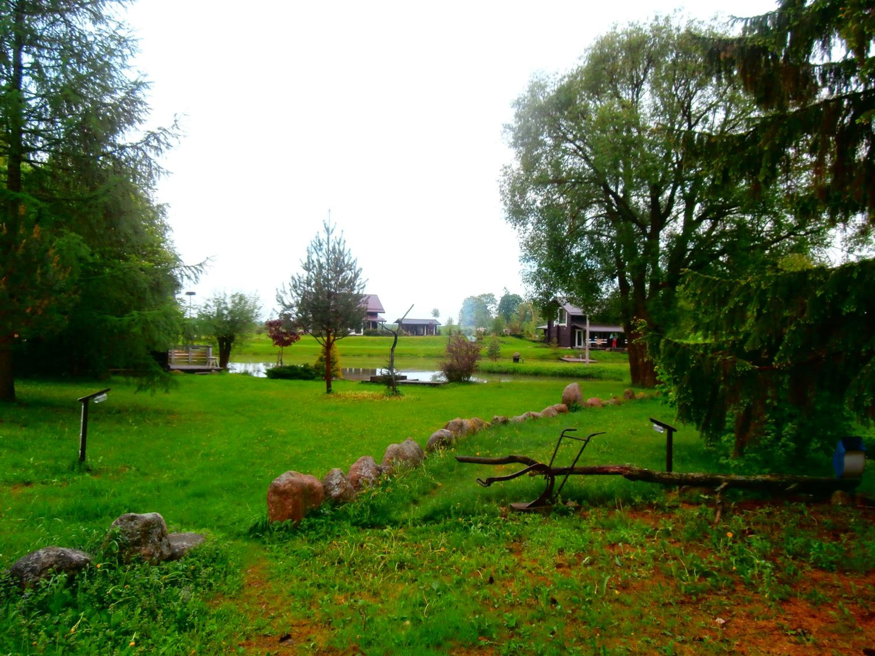 Photo 24