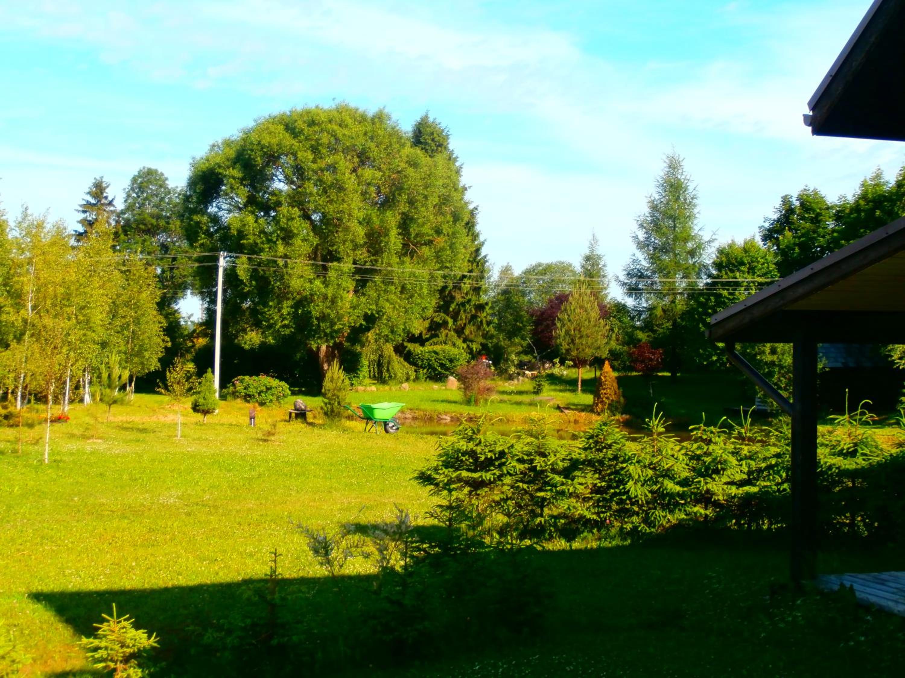 Photo 28
