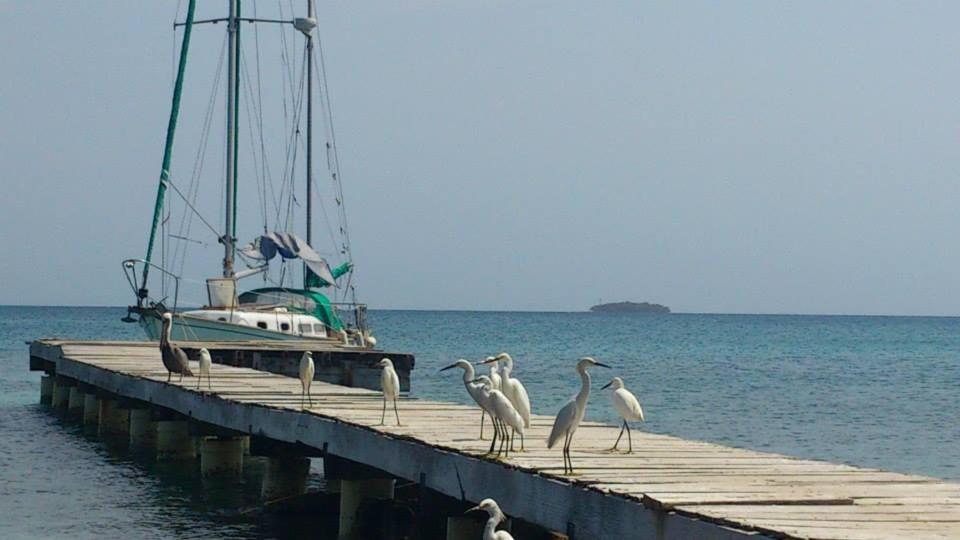 Ecohotel Arte y Aventura