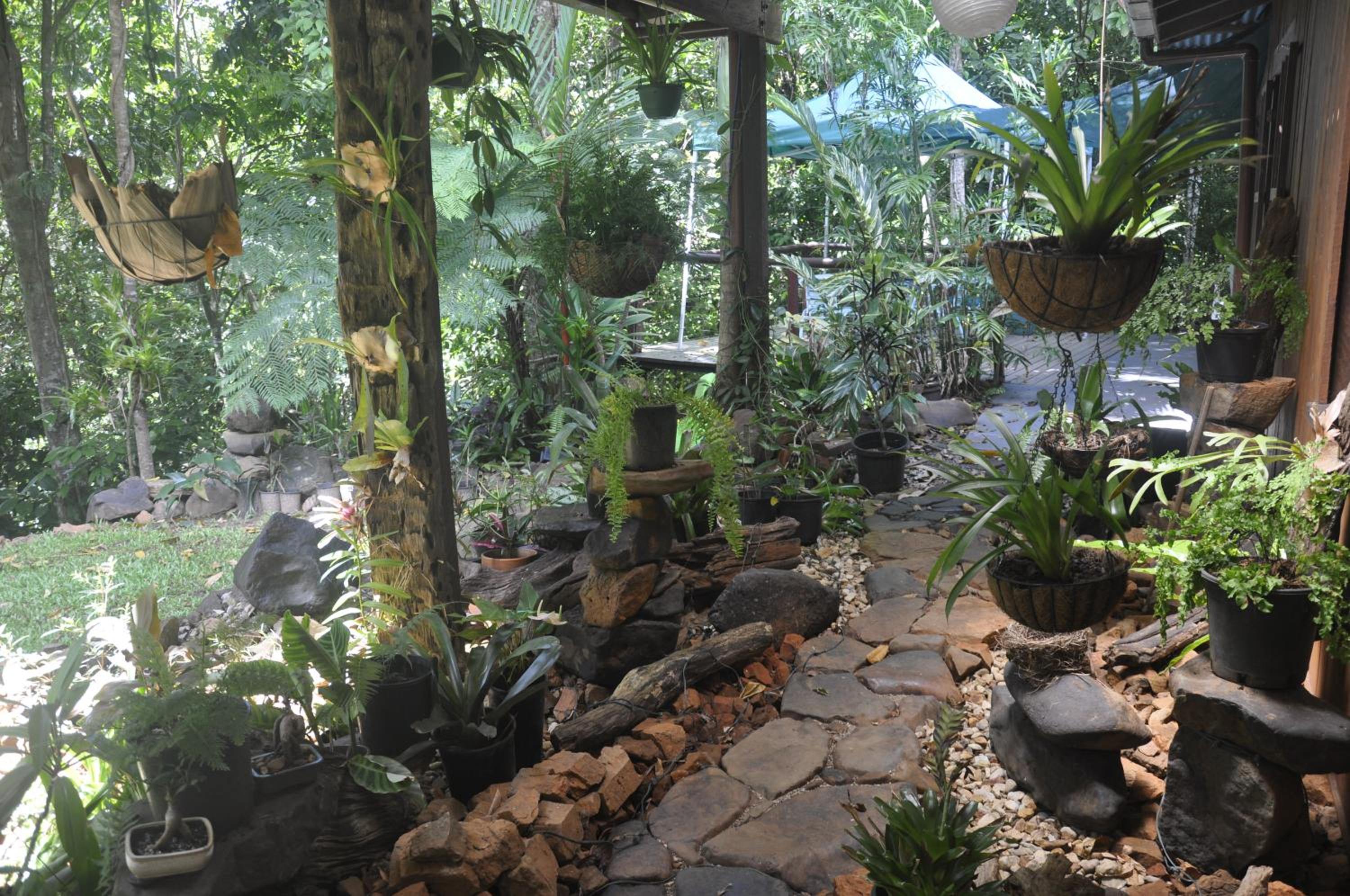 Tropical Bliss bed and breakfast