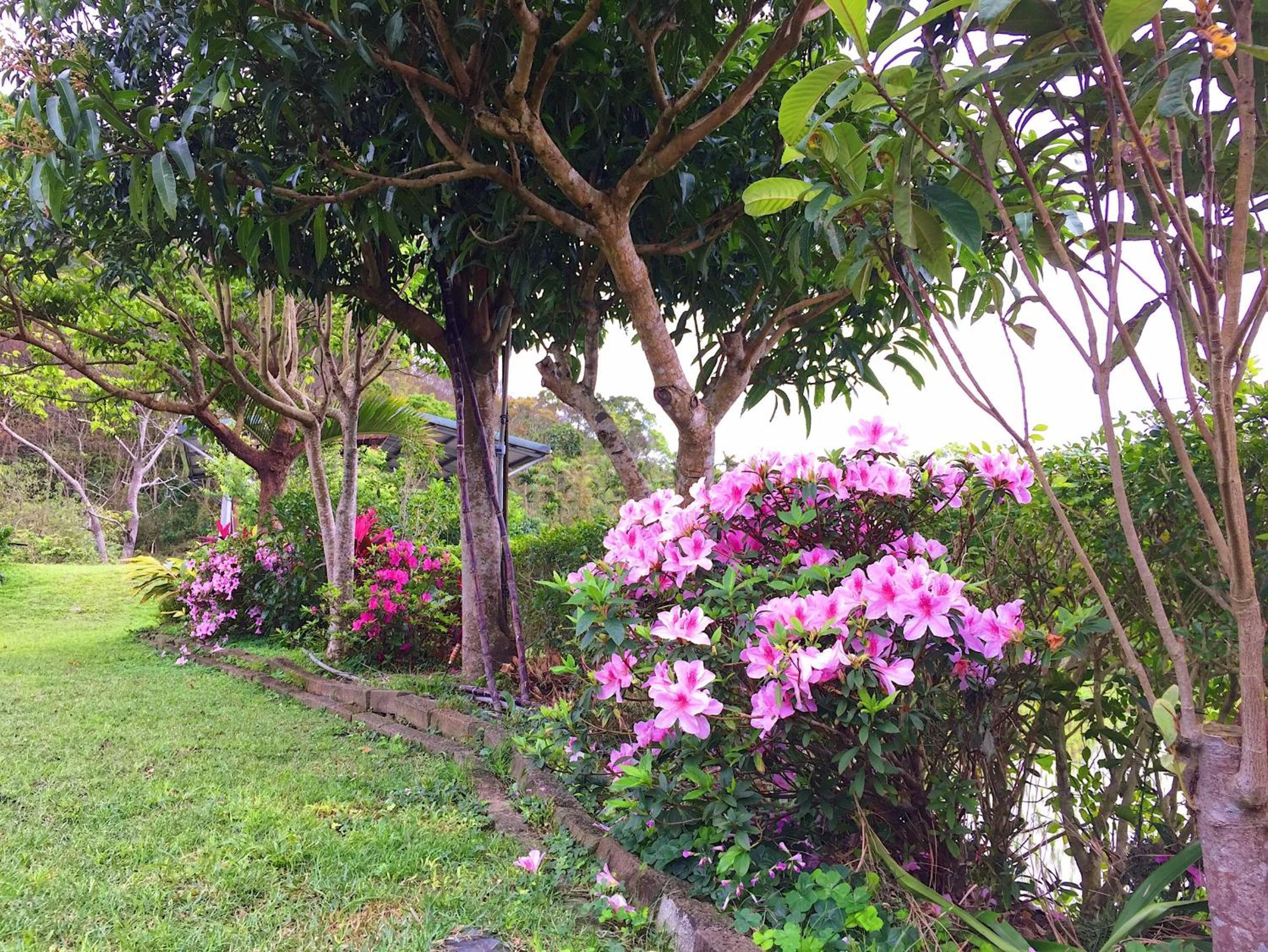 Jiu An Qing Jing Homestay