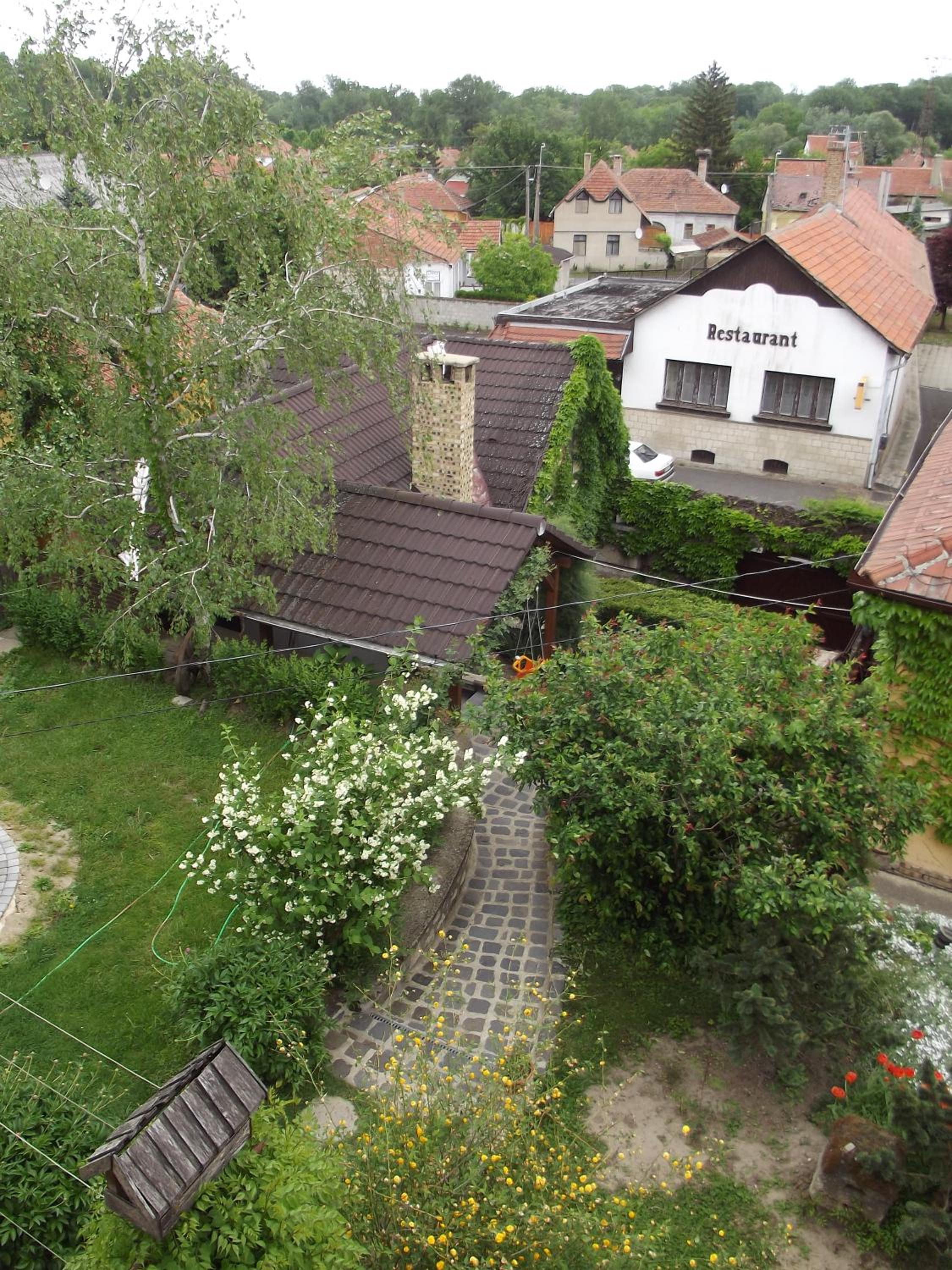 Photo 21