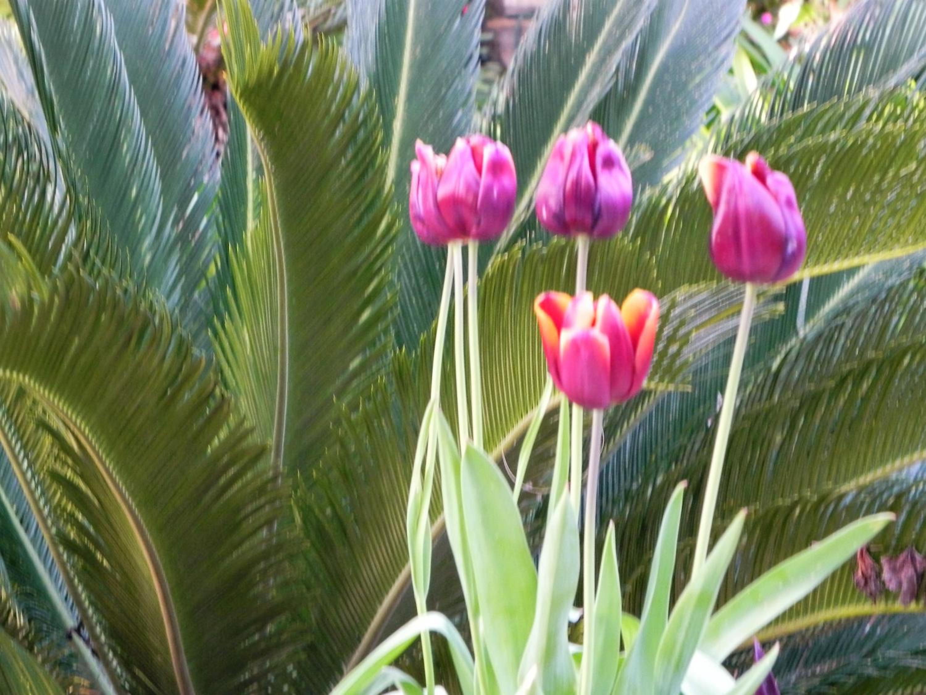 Photo 40