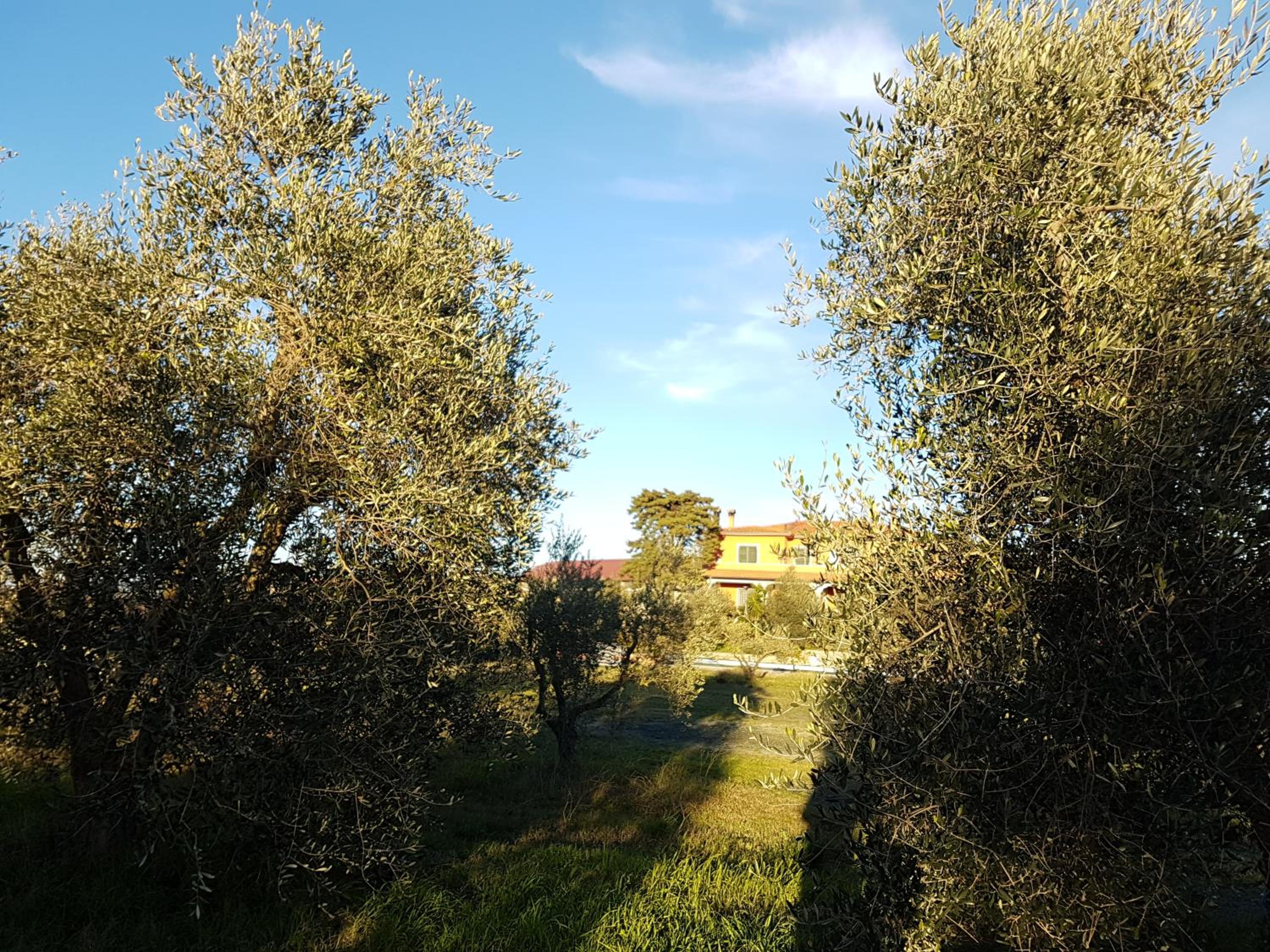 Il Giogo Agriturismo