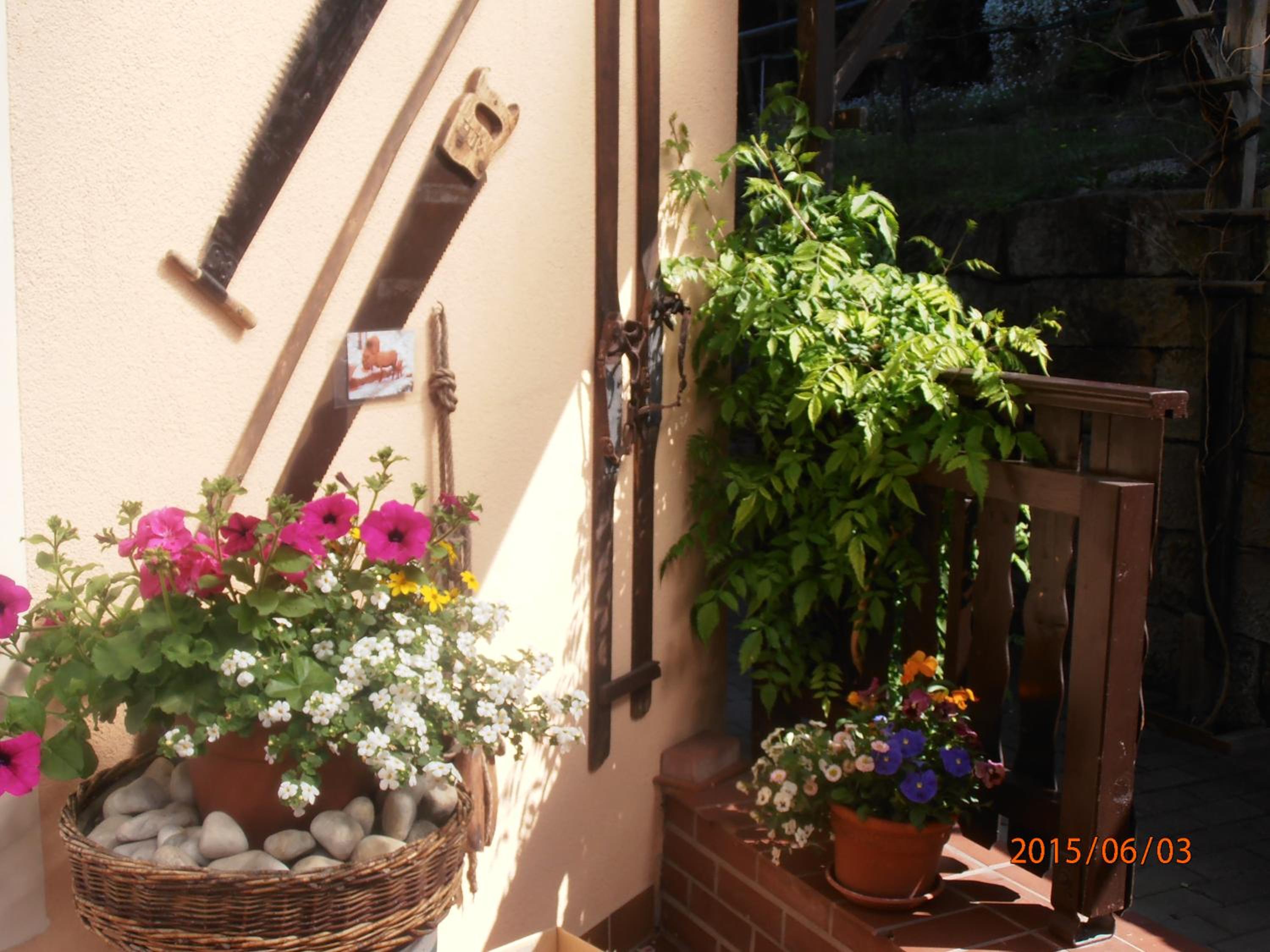 Ferienwohnungen "Gründelrast" view 2