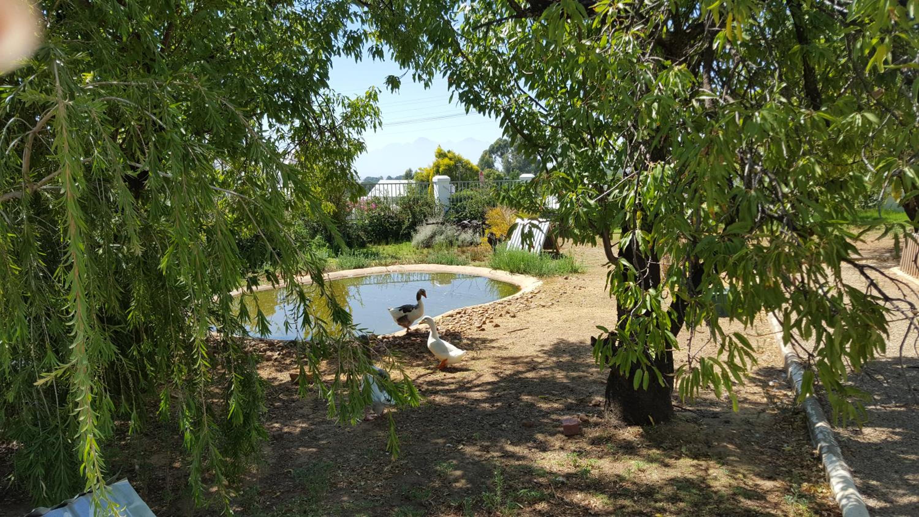 Merindol Manor, photo 35