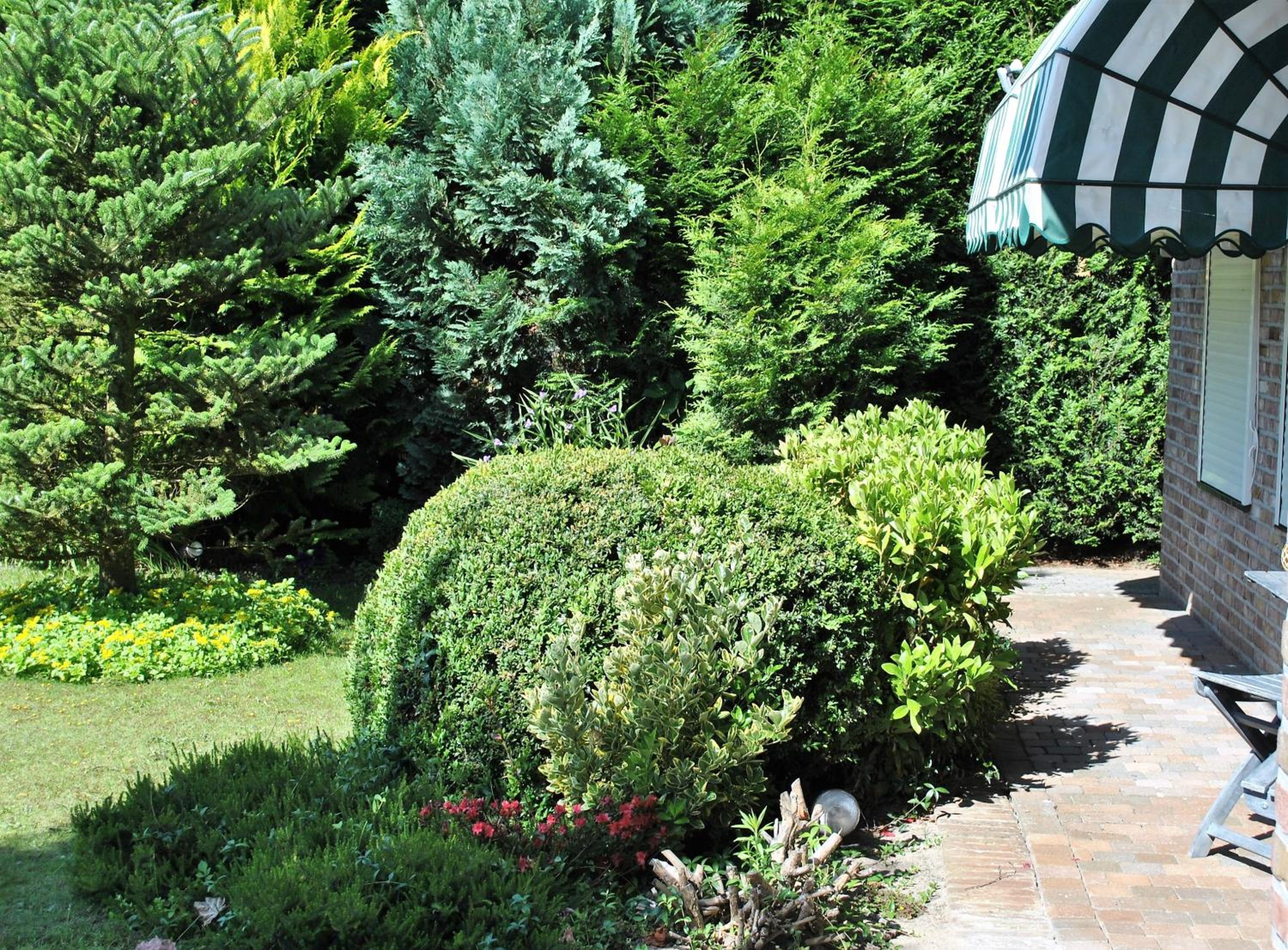 B&B Elegance Hamont