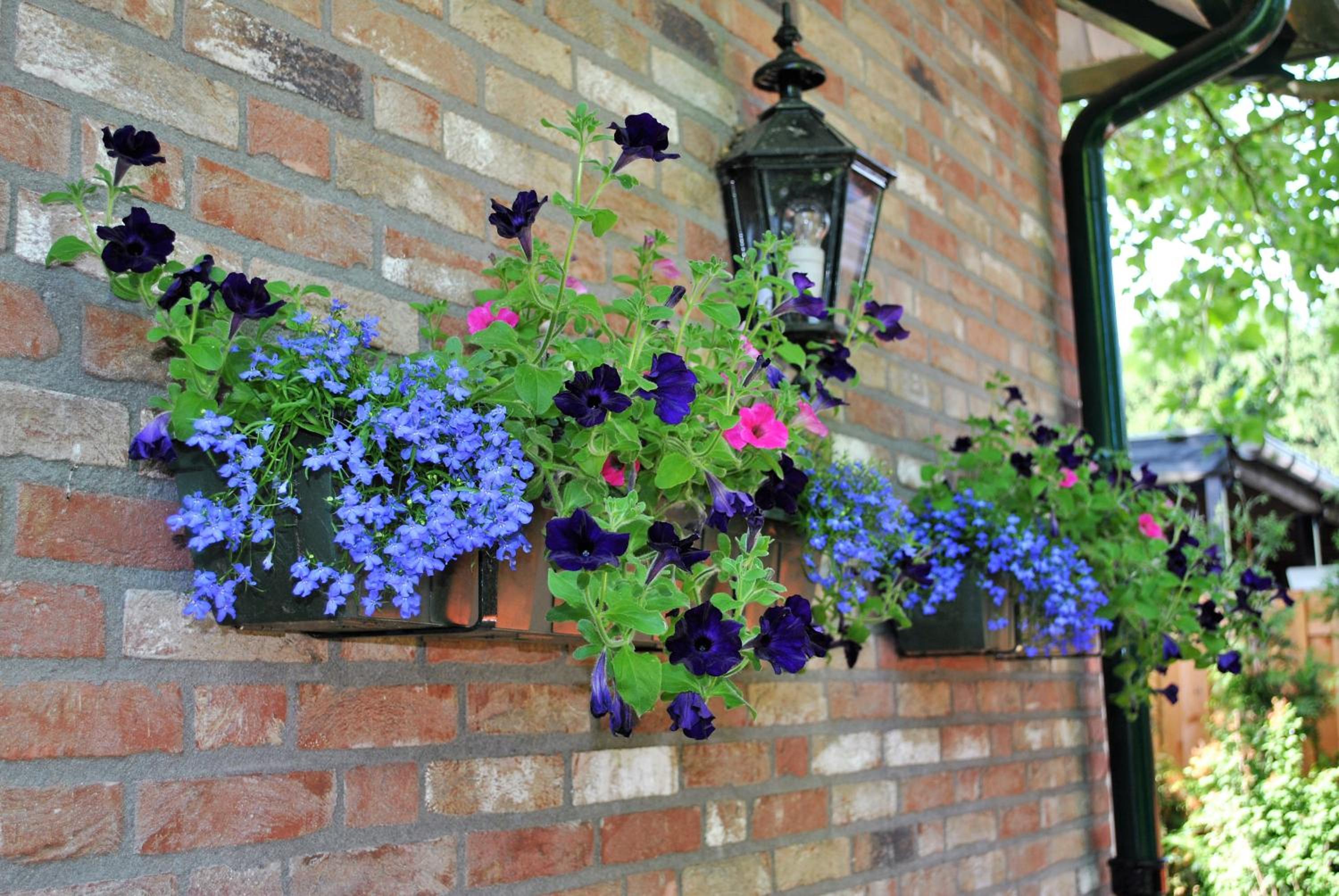 B&B Elegance Hamont