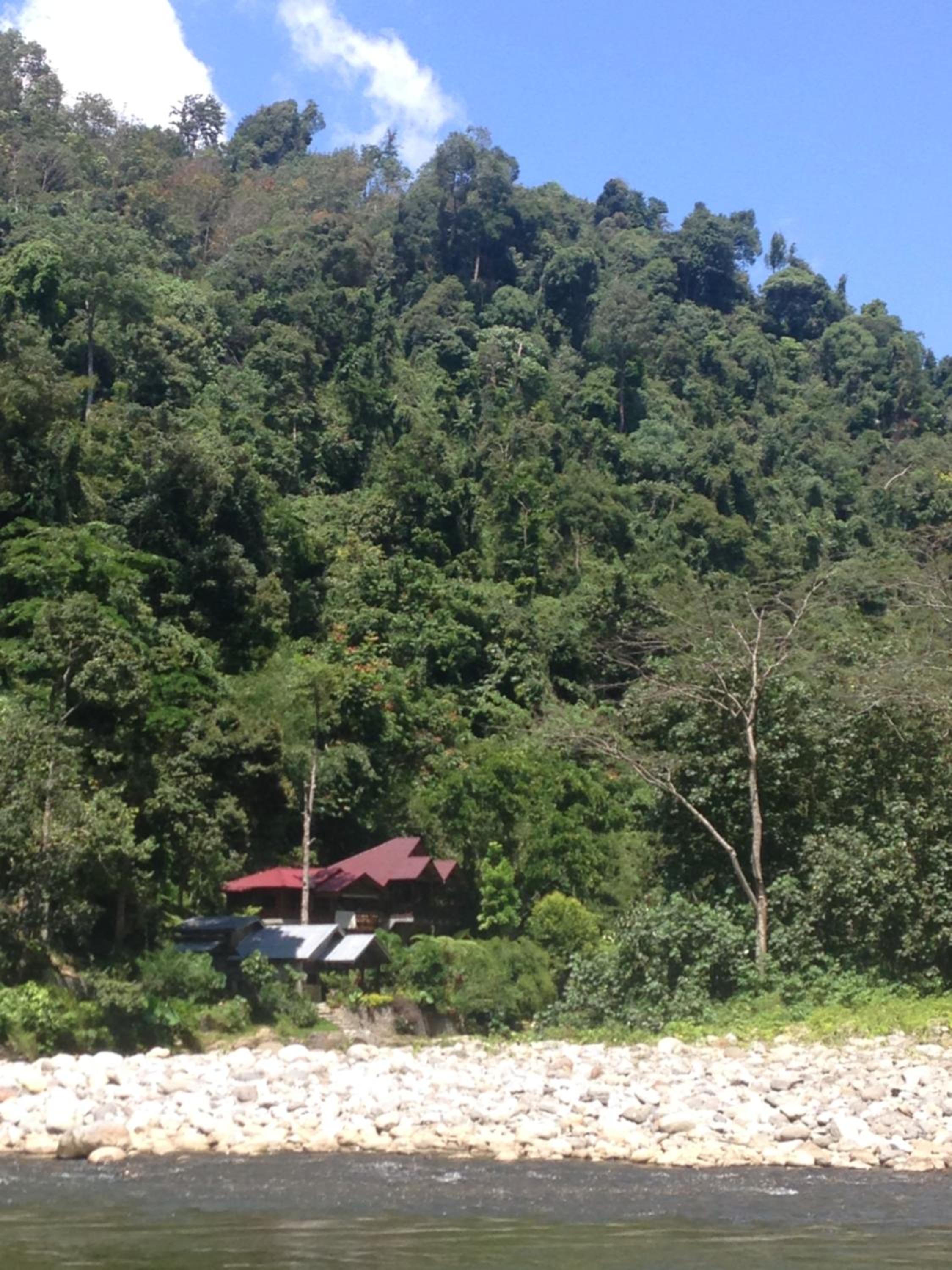 Photo 46