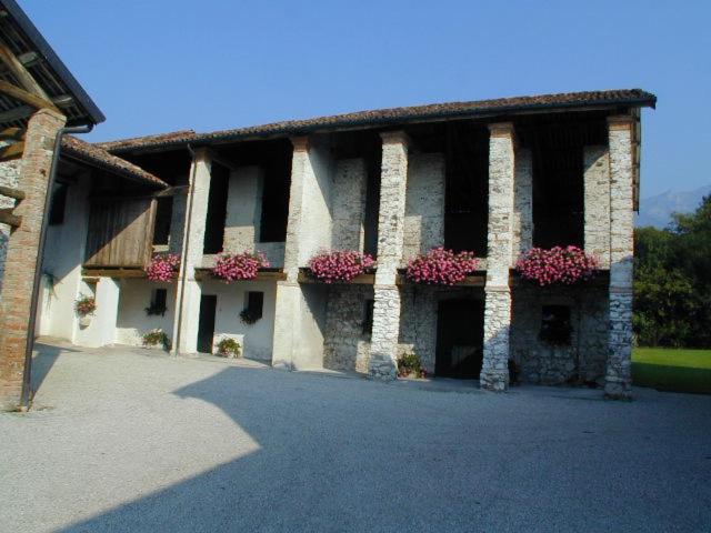 Photo 38