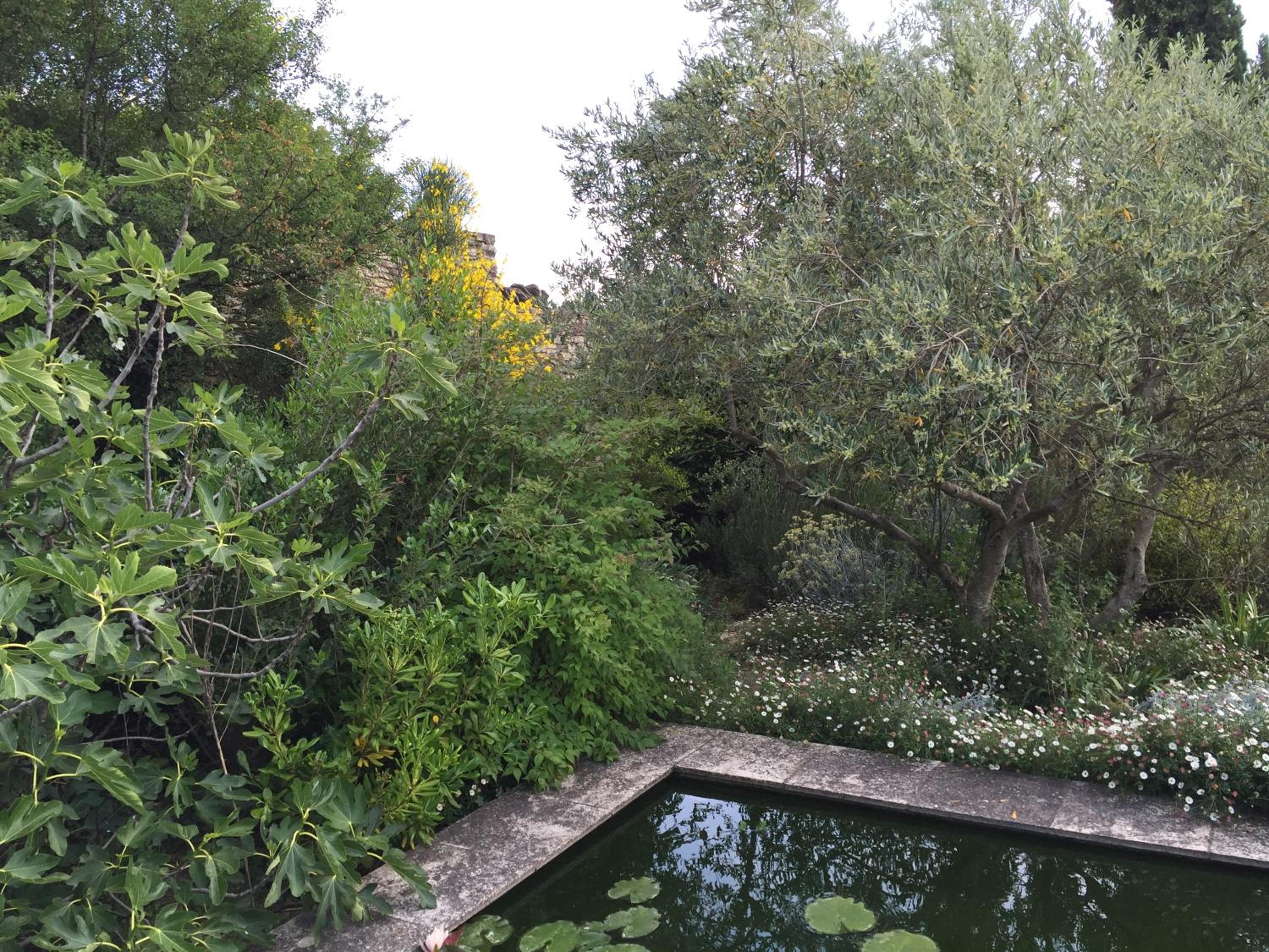 Photo 27