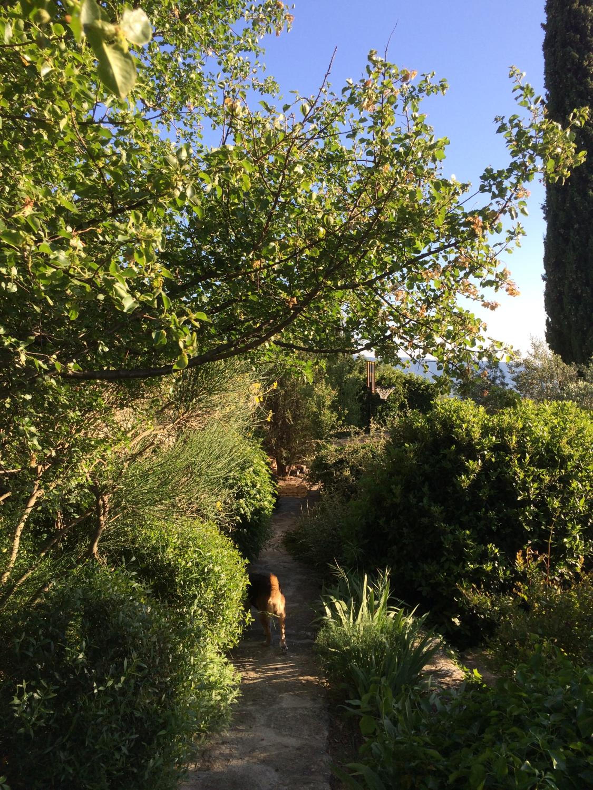 Photo 25