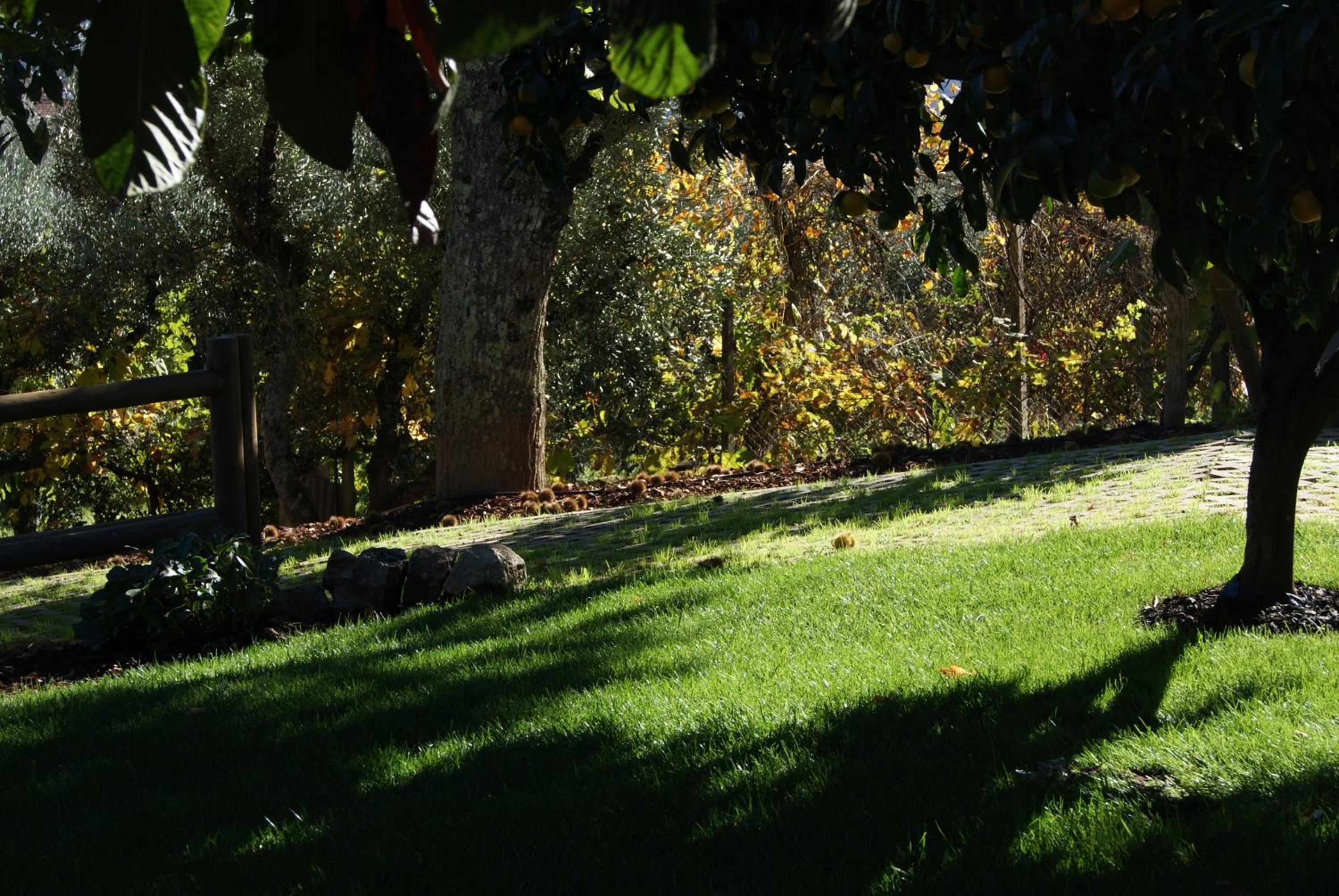 Photo 22