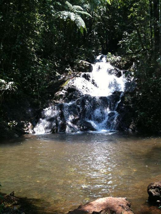 Pousada Verde Folhas