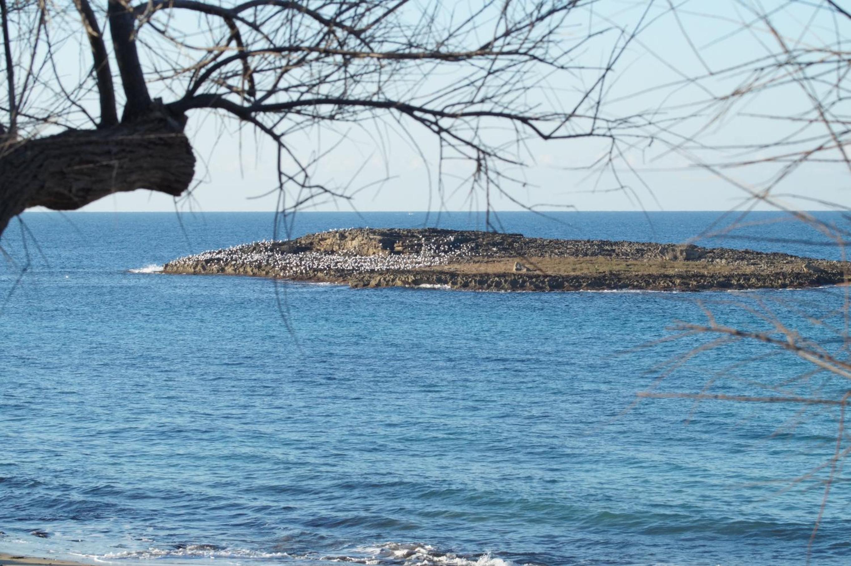 Mare Di Pazze