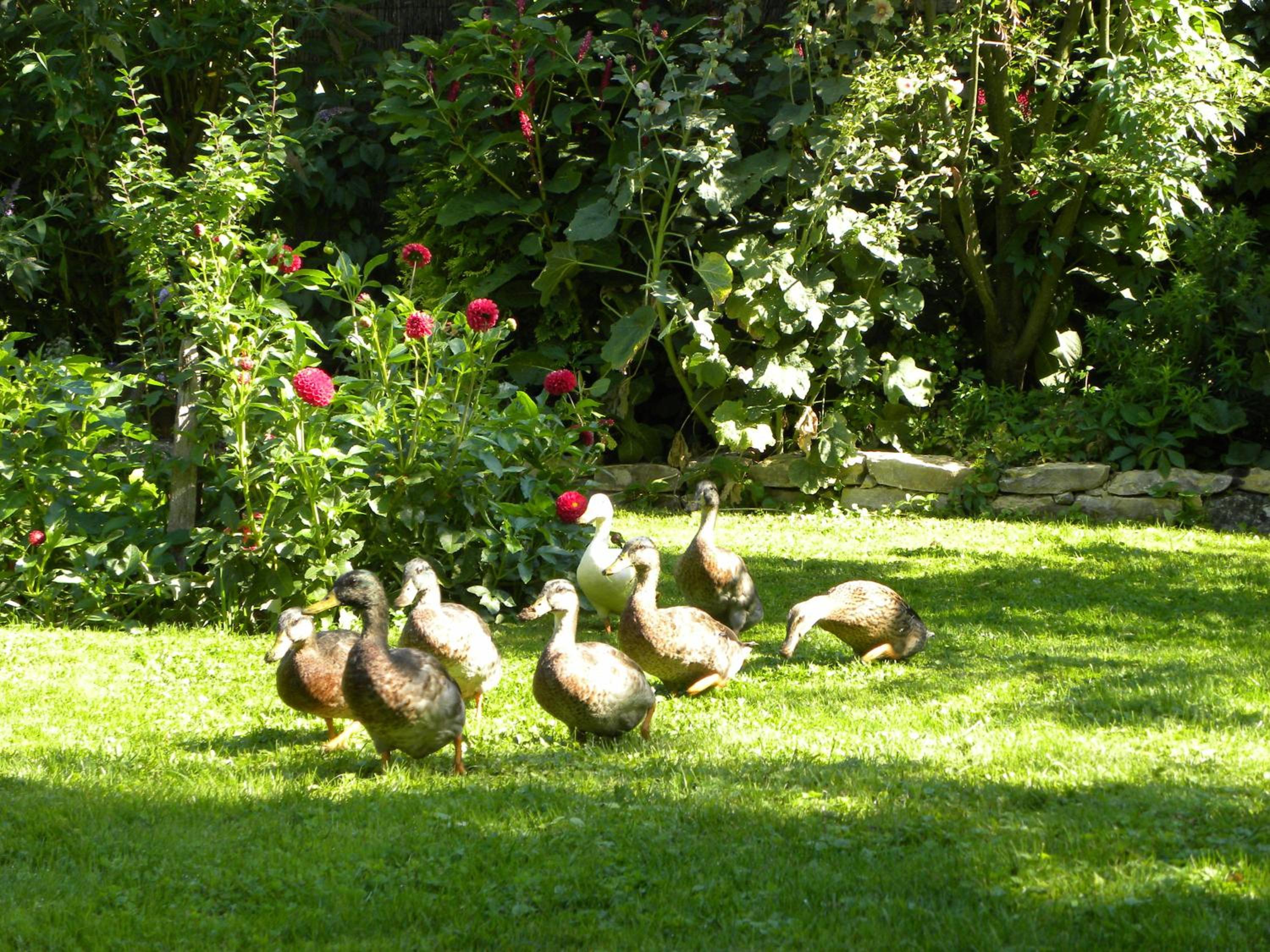 La Ferme de Marie view 4