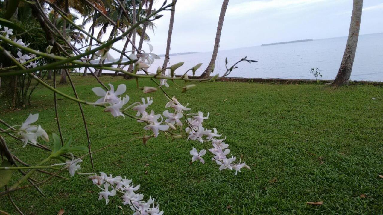 Vembanad House Boutique Back Water Retreat