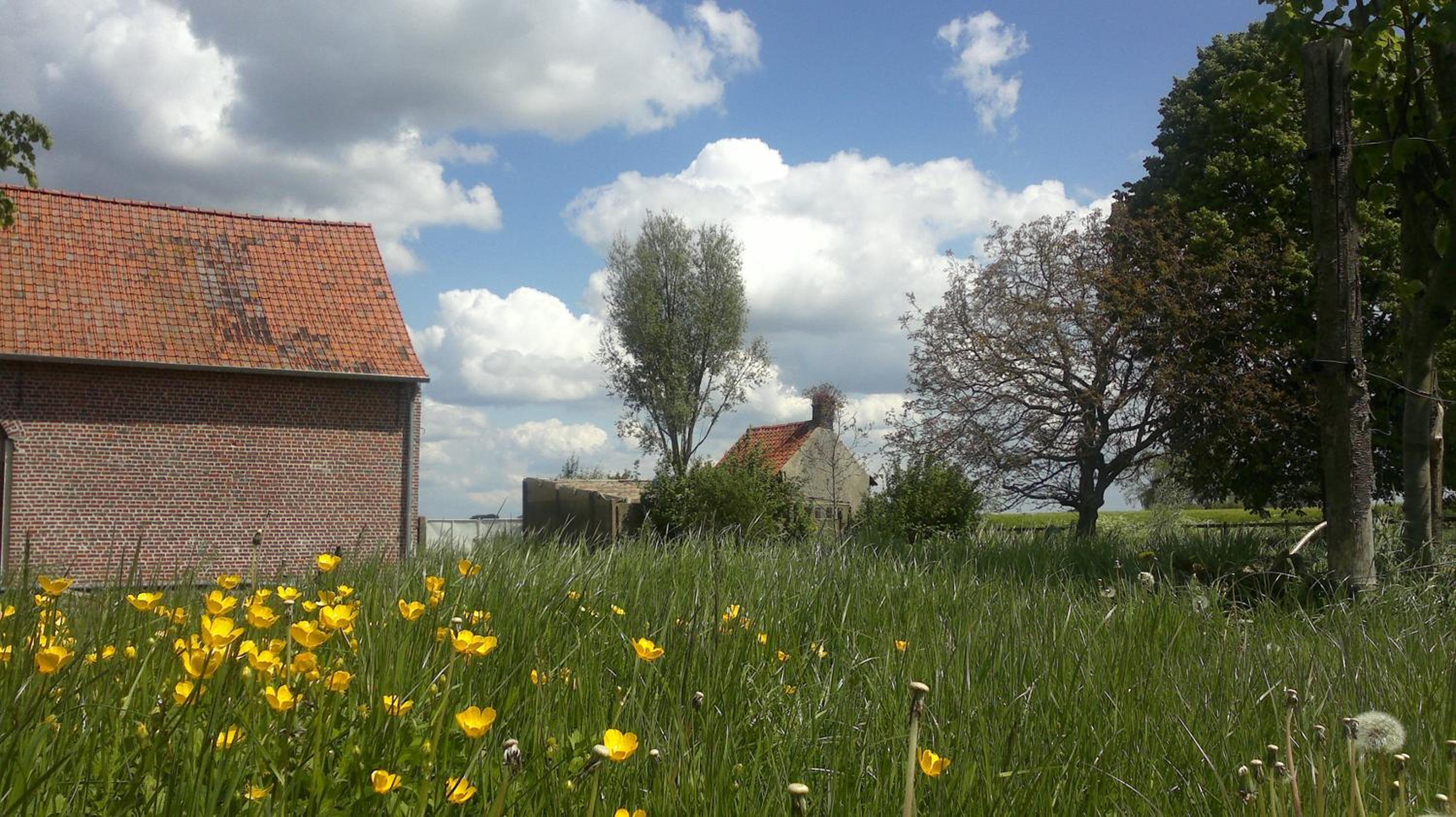 Photo 32