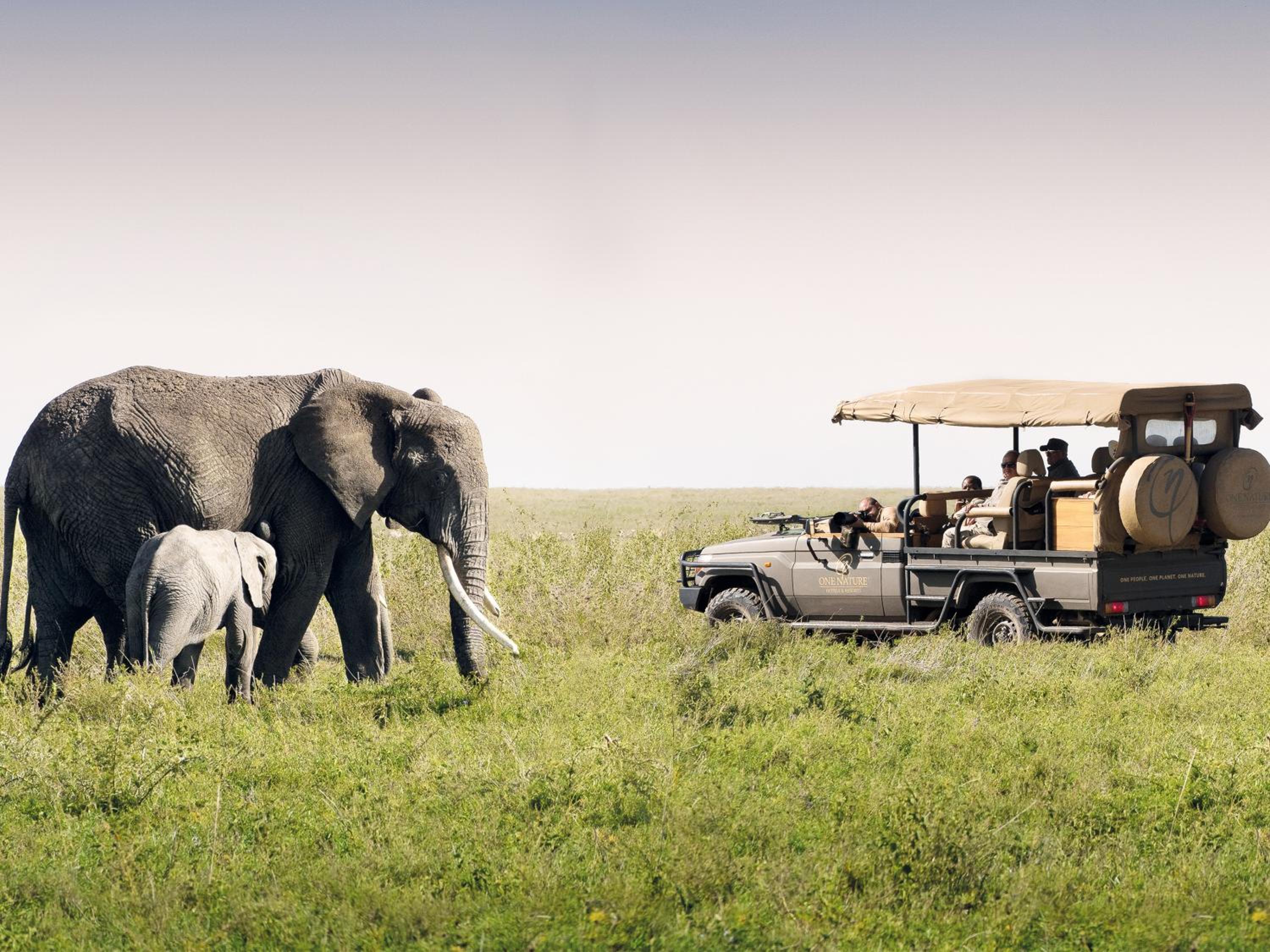 One Nature Nyaruswiga Serengeti