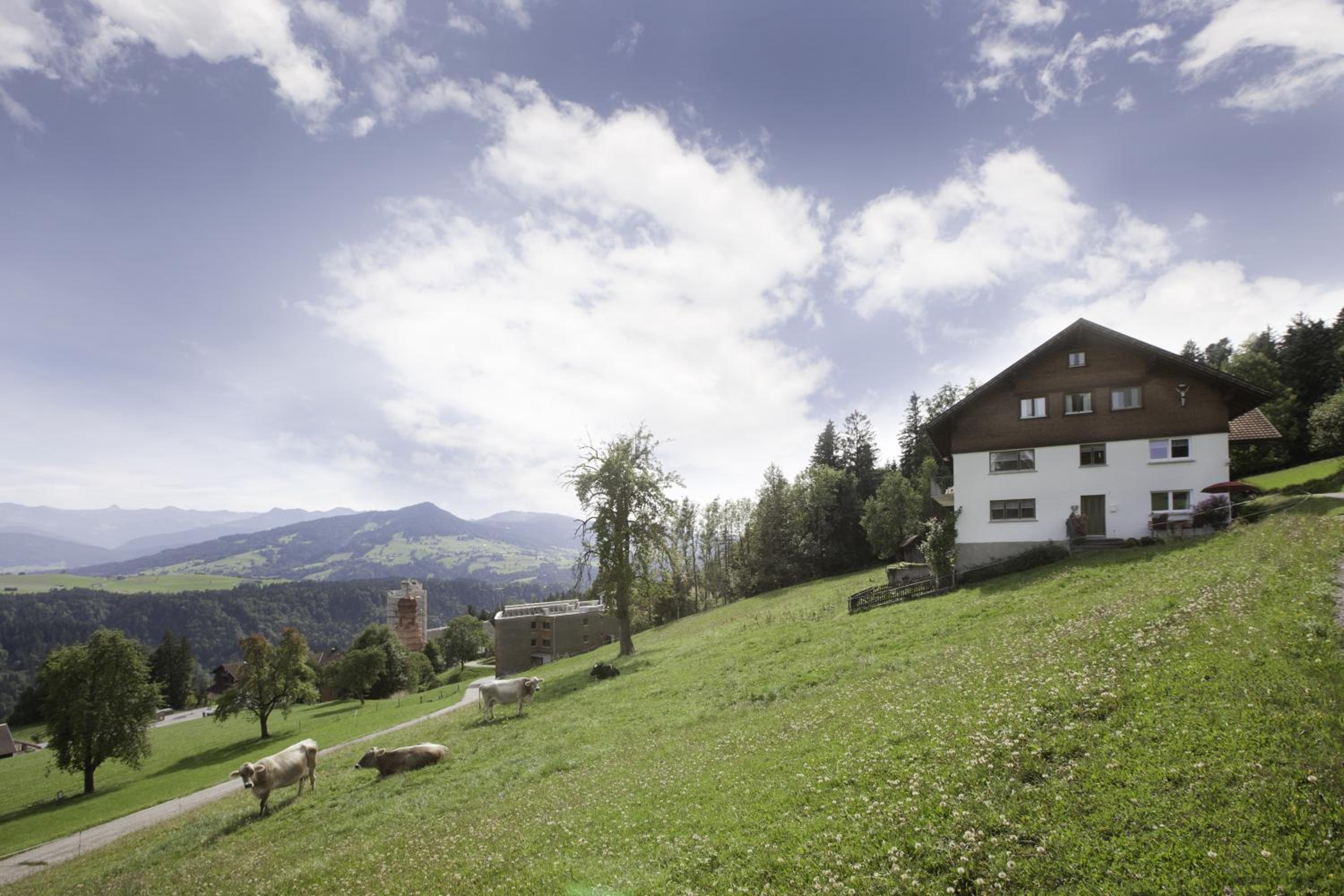 Ferienwohnung Panorama