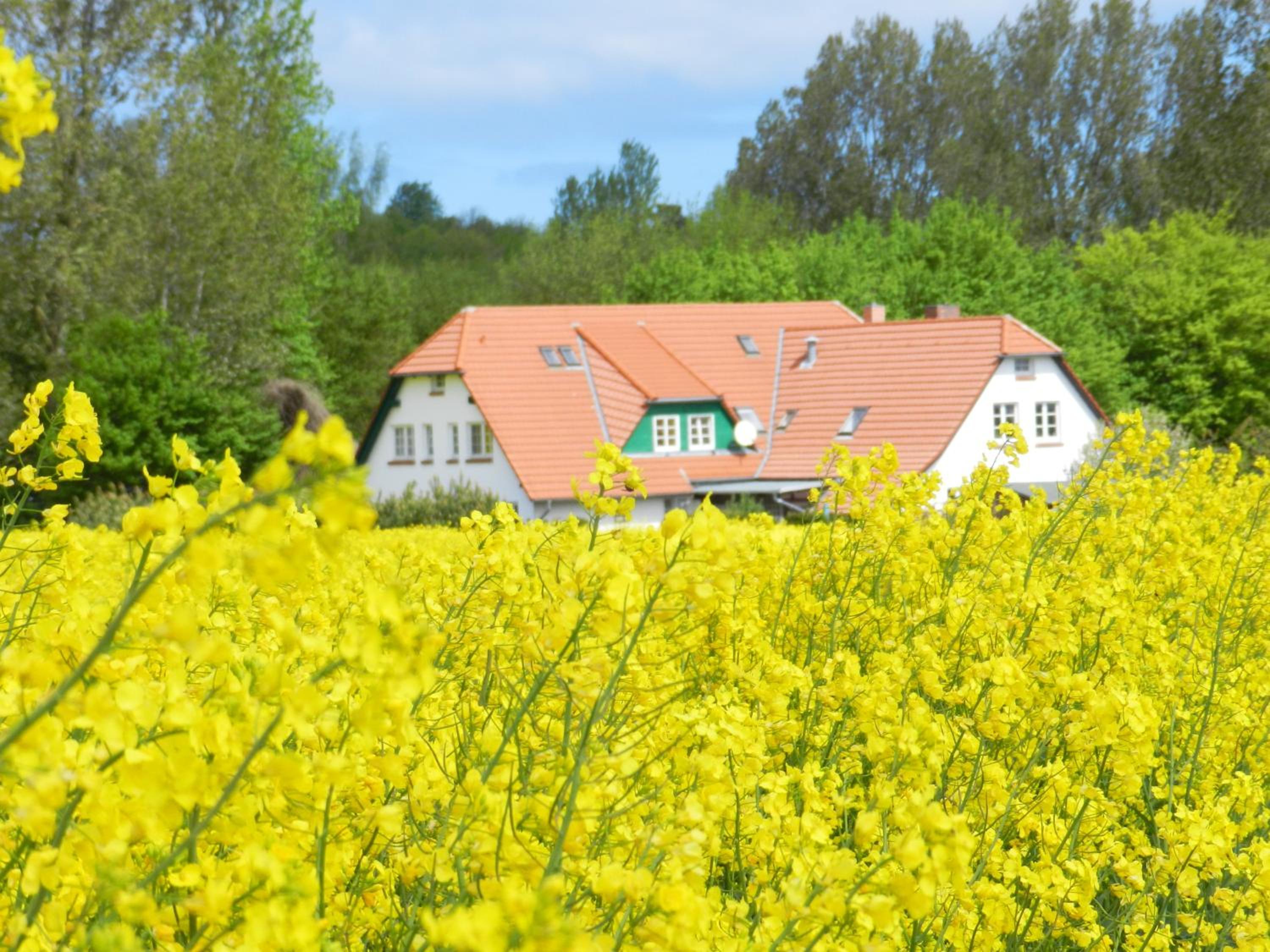 Landhaus Alt Reddevitz