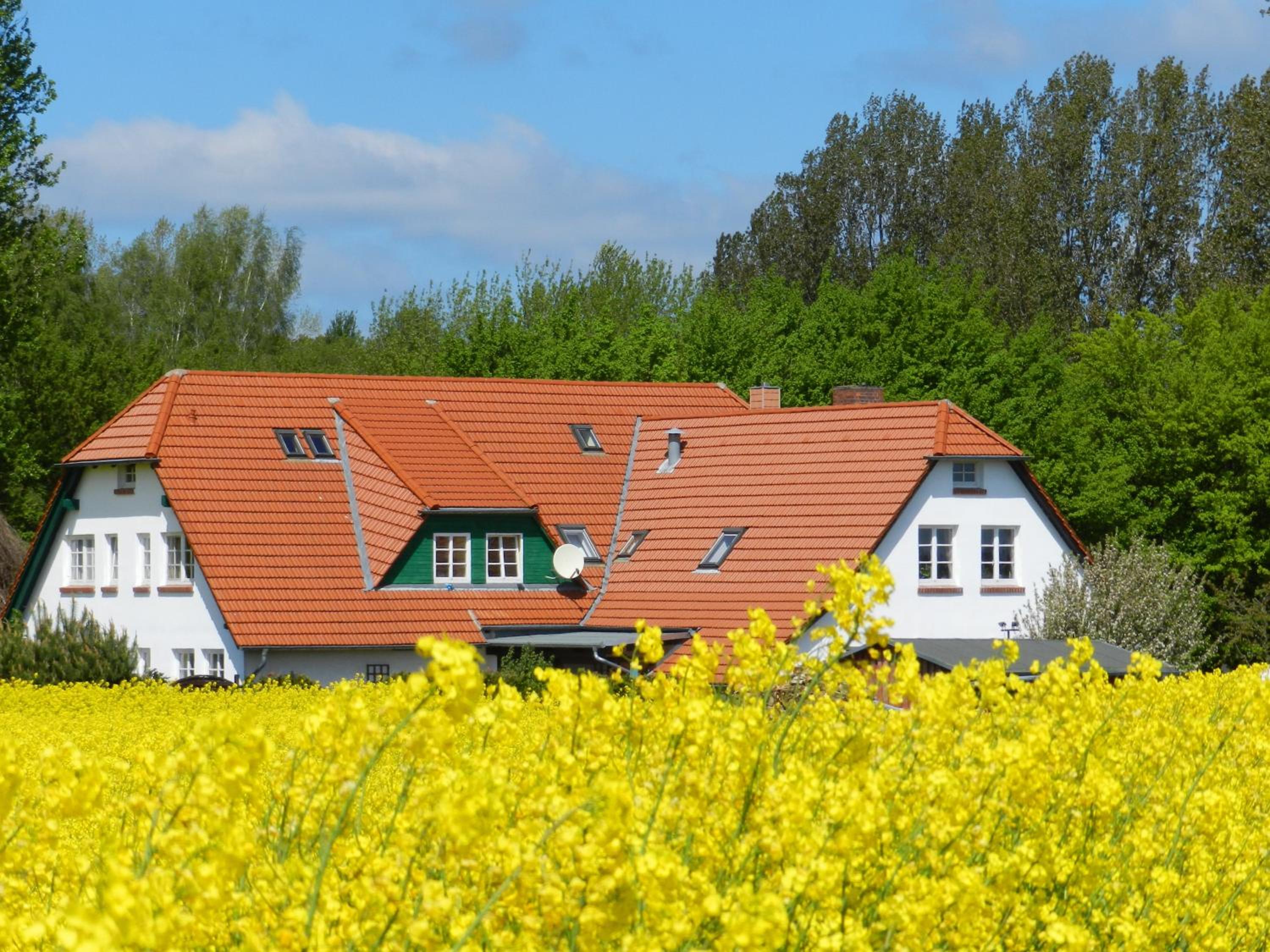 Landhaus Alt Reddevitz
