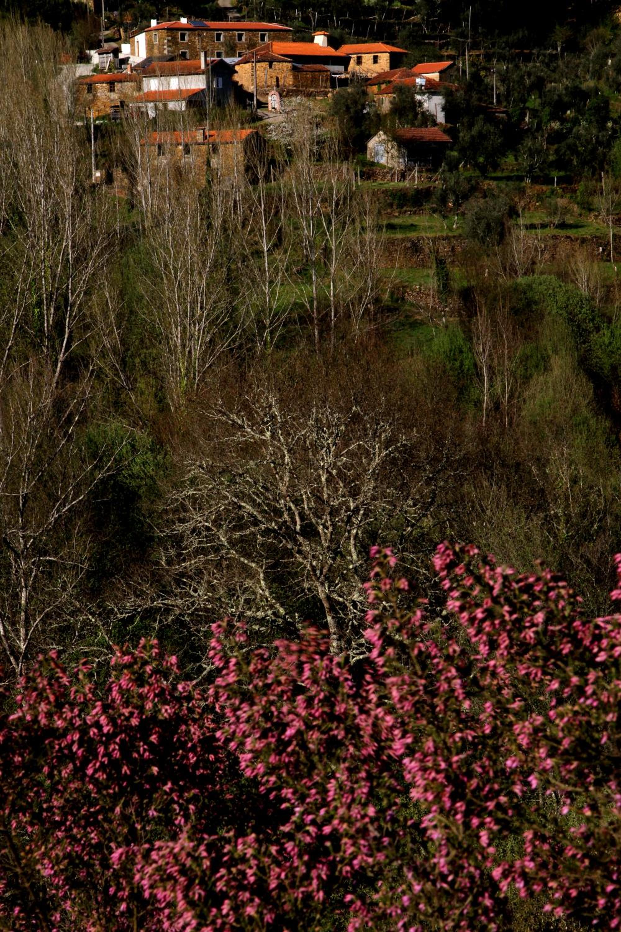 Quinta de Gildinho view 5