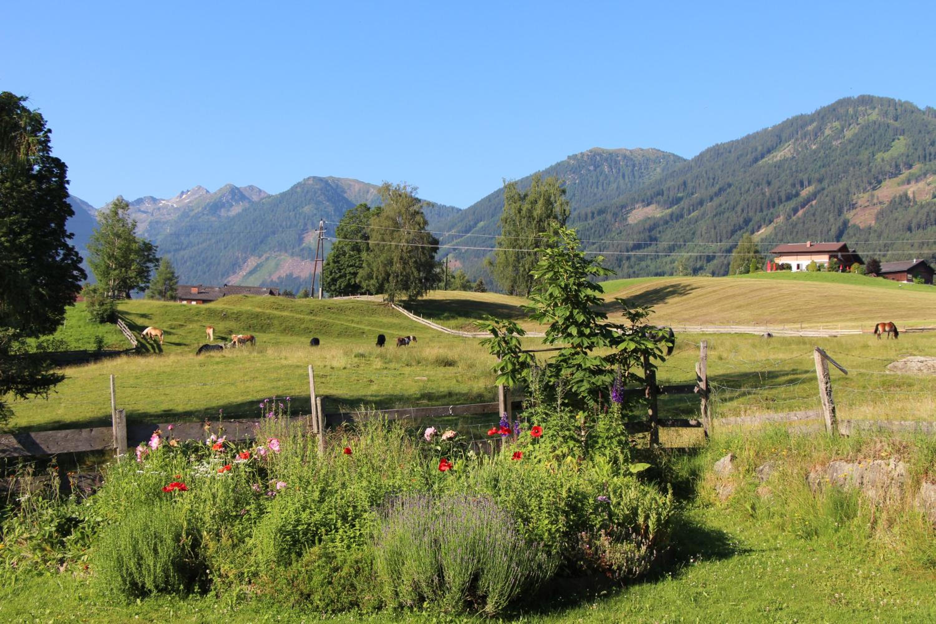 Appartement Alpenblume view 3