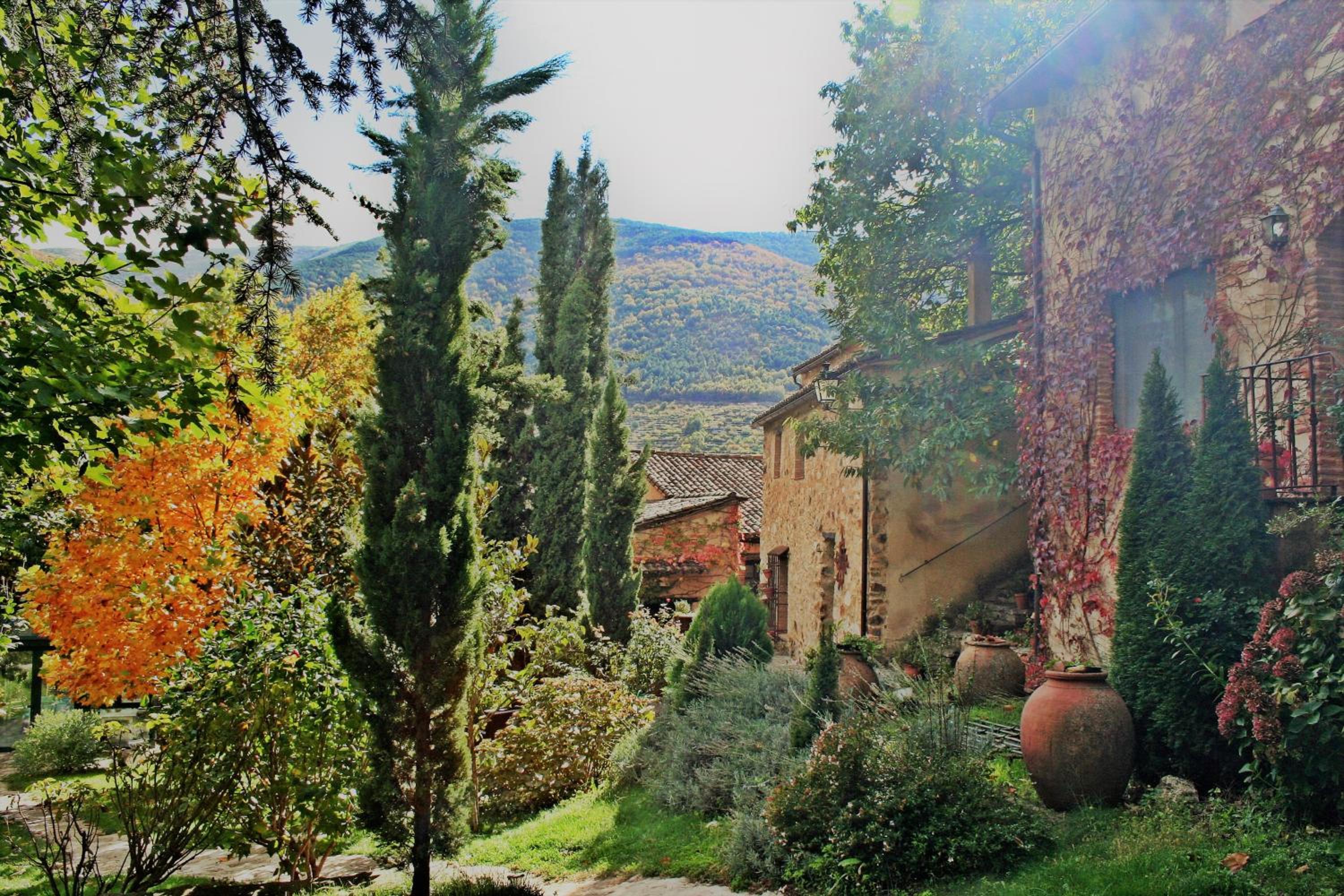 Photo 42