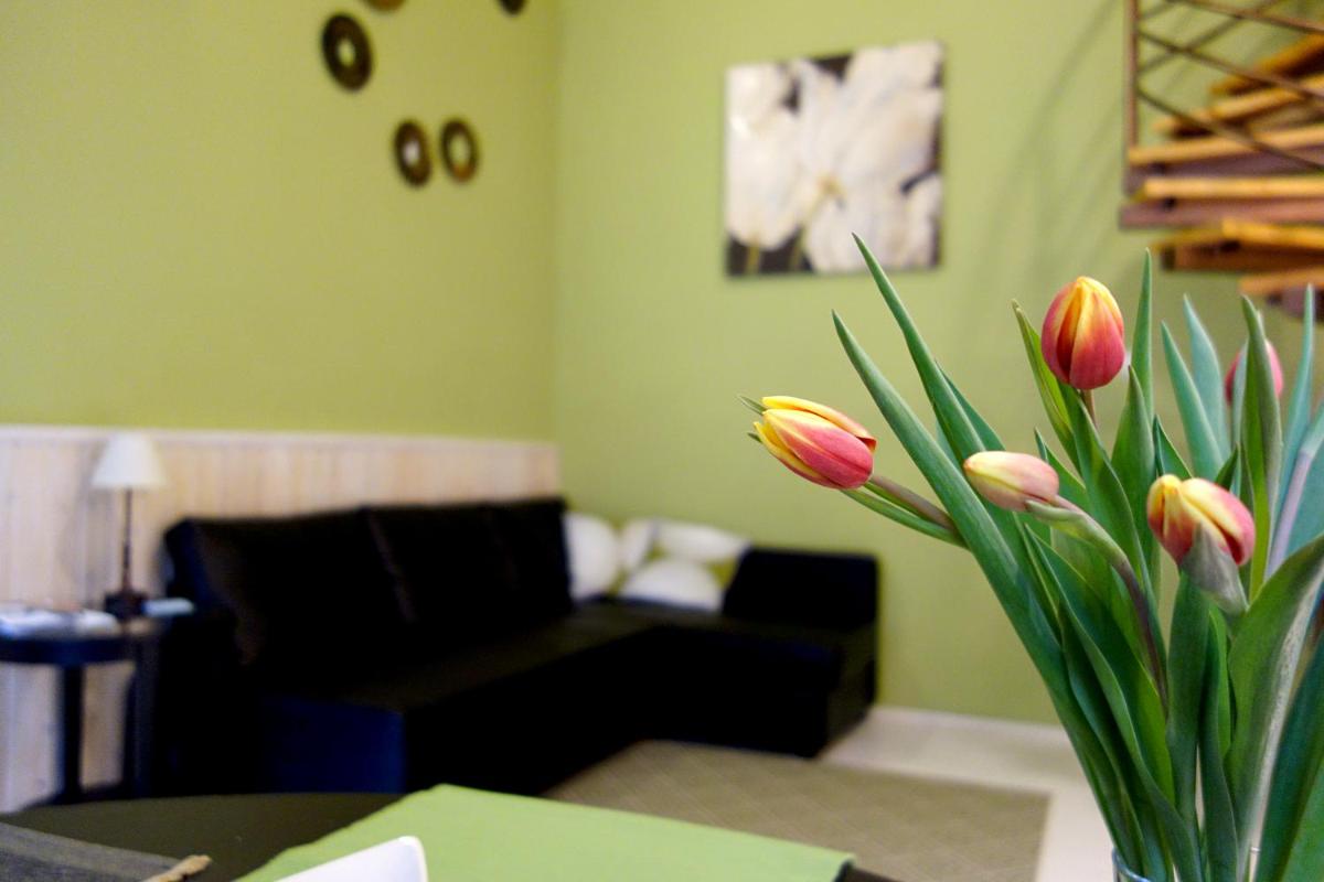 Vivid Rozsa Apartment view 4