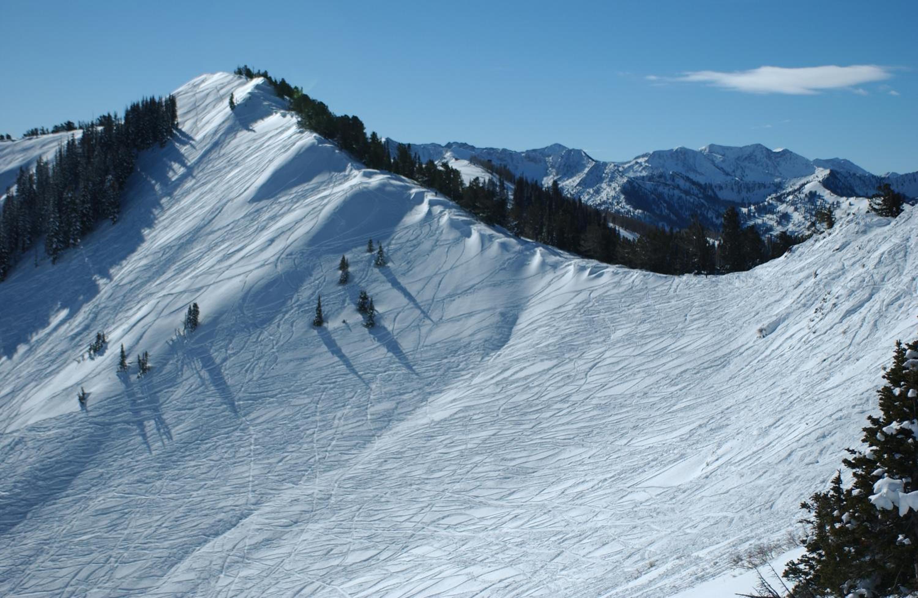 Raintree's The Miners Club Park City, photo 11