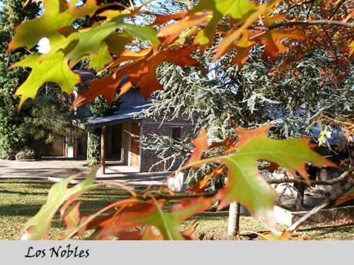 Los Nobles Hostal de Bosque