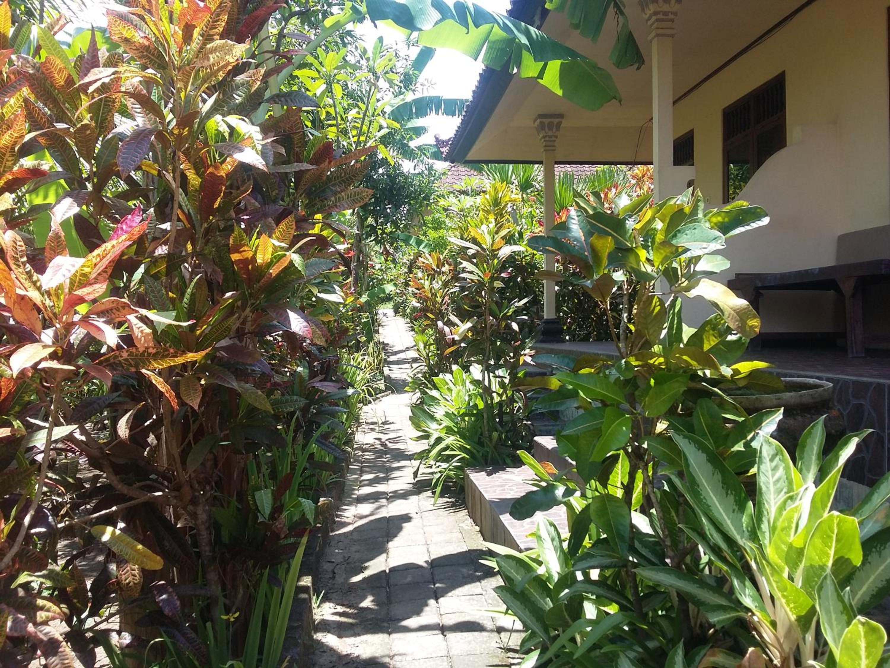 Surya Homestay view 2