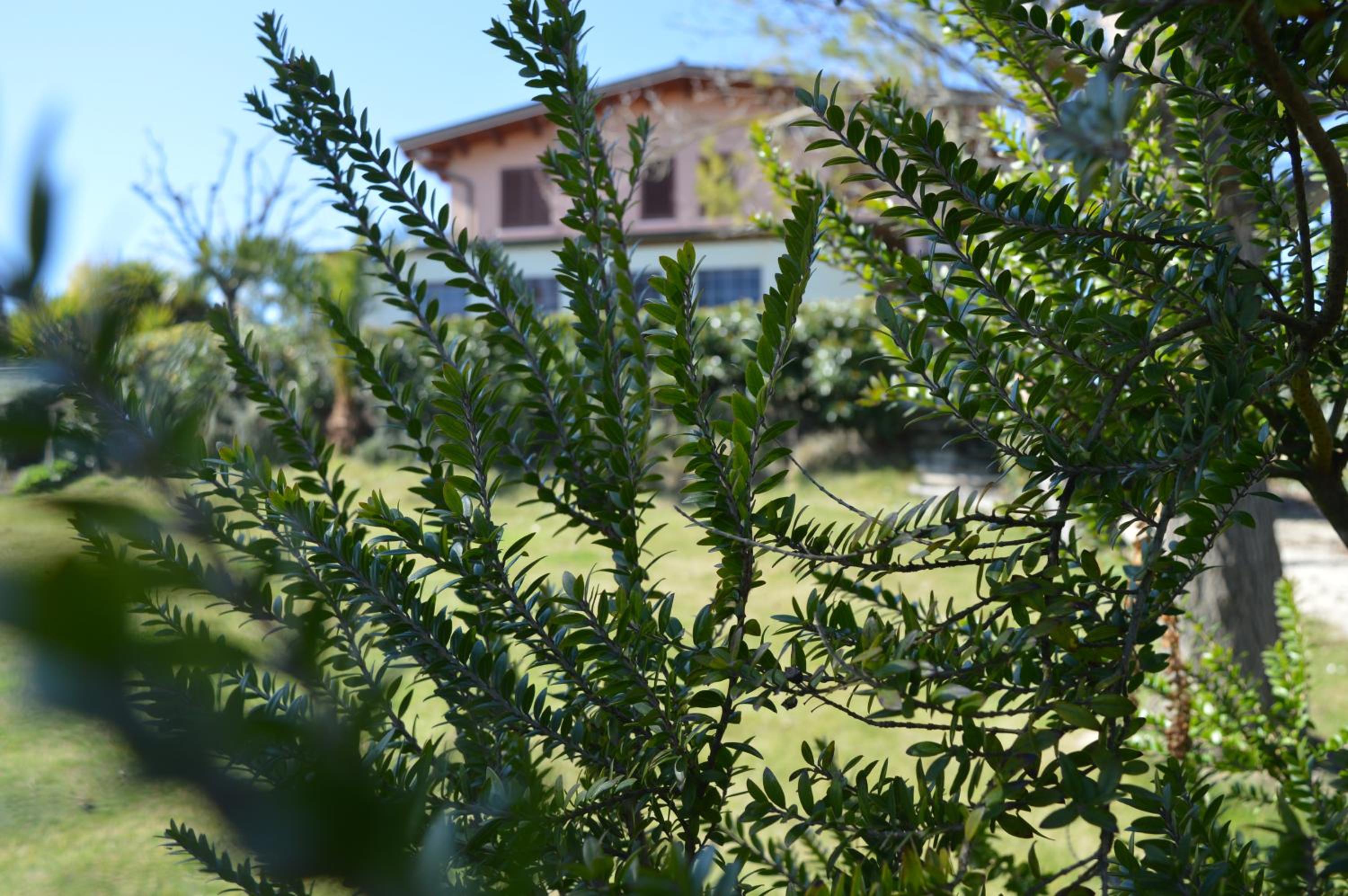 Country House Il Papavero Rosso view 3