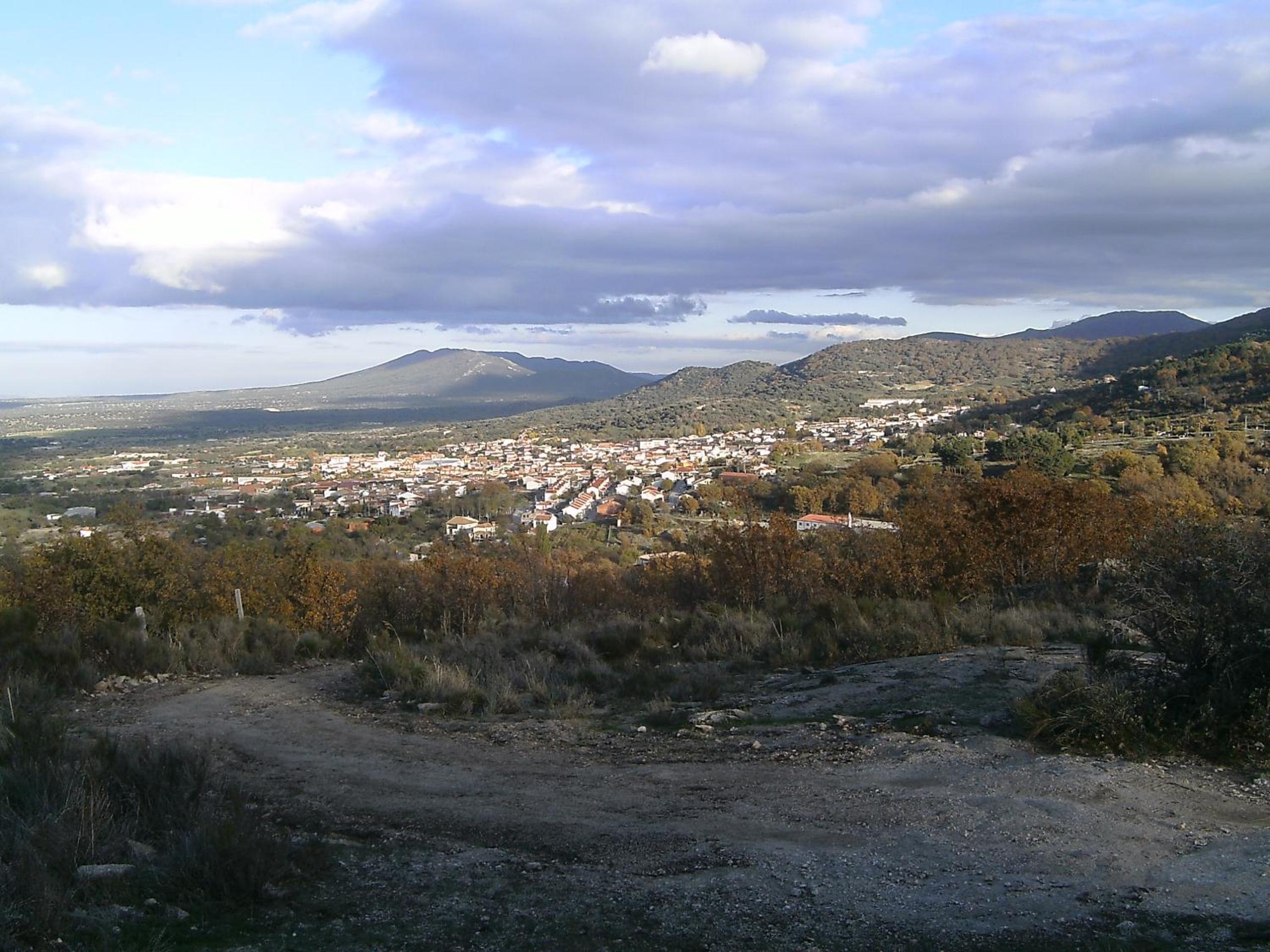 Photo 11