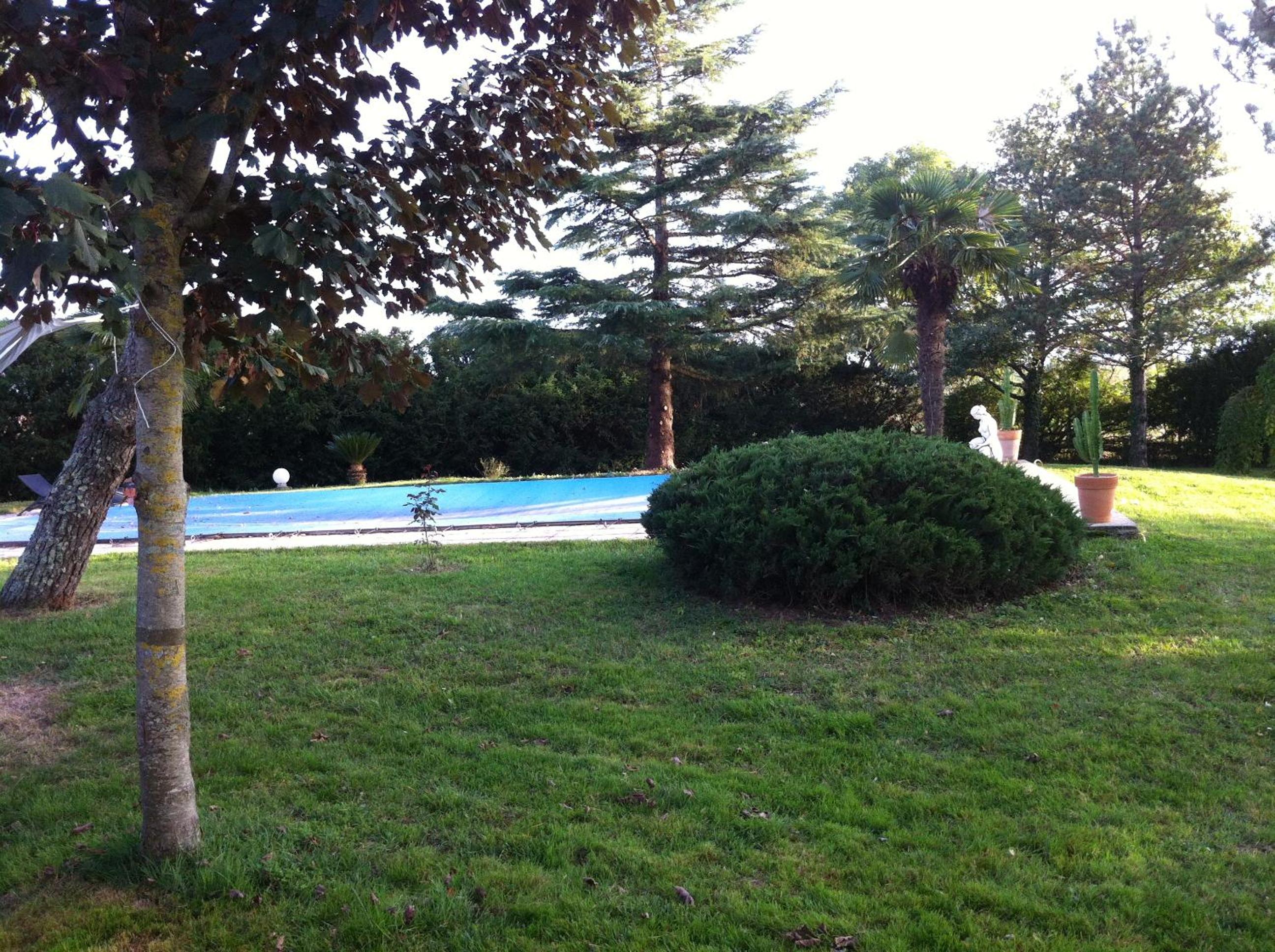 Photo 27