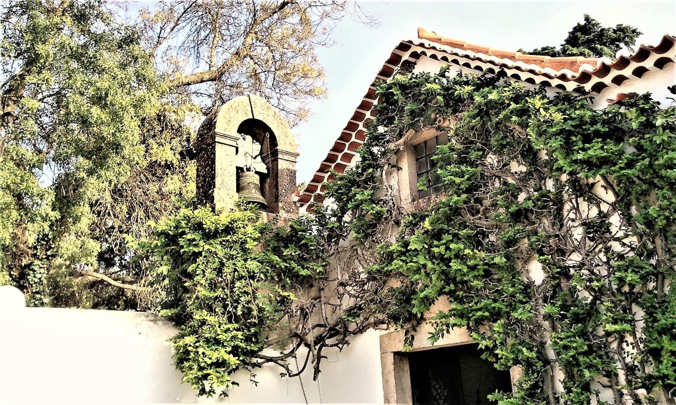 Água Rocha