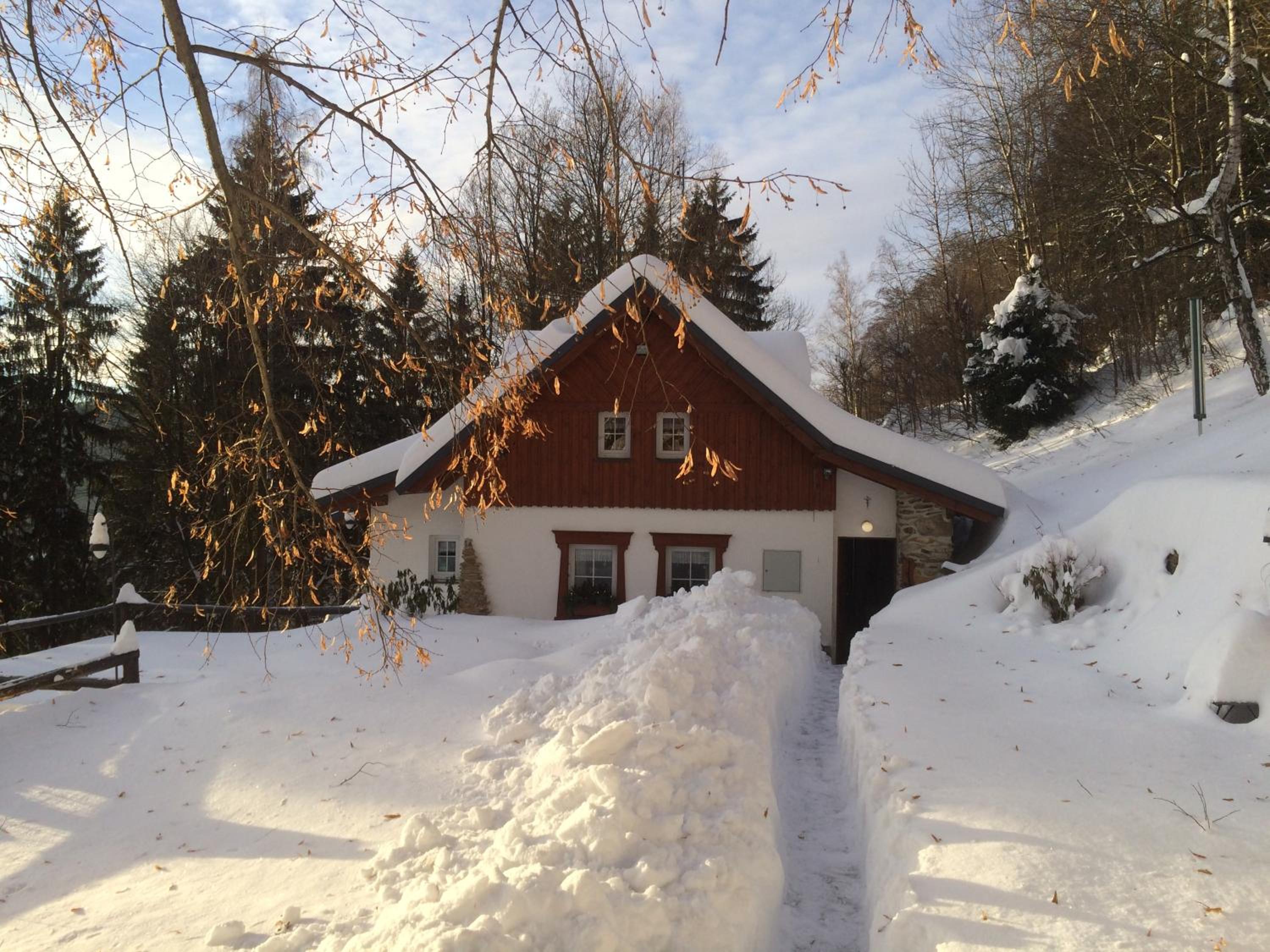 Photo 53