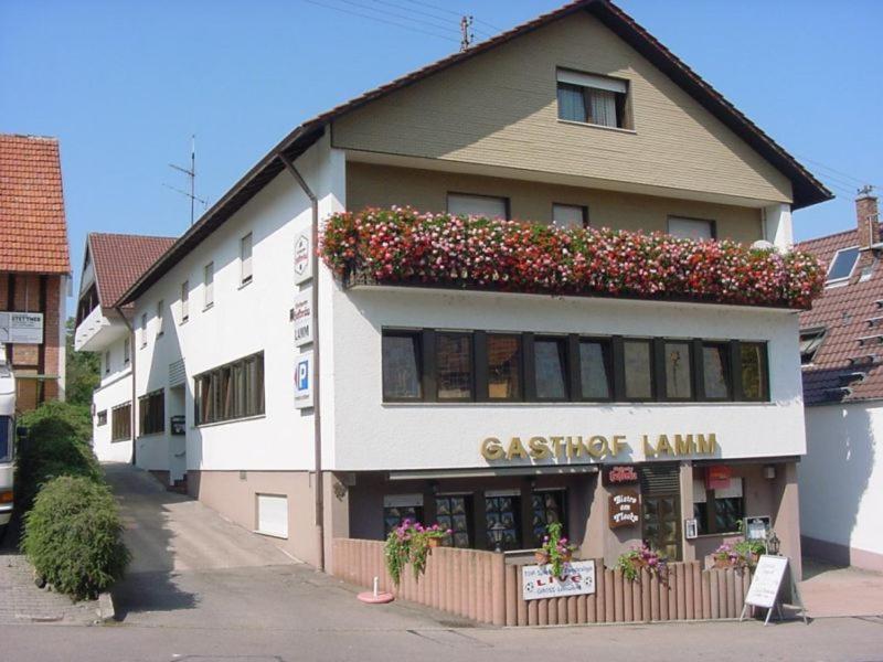 Hotel Lamm - Property Image 13