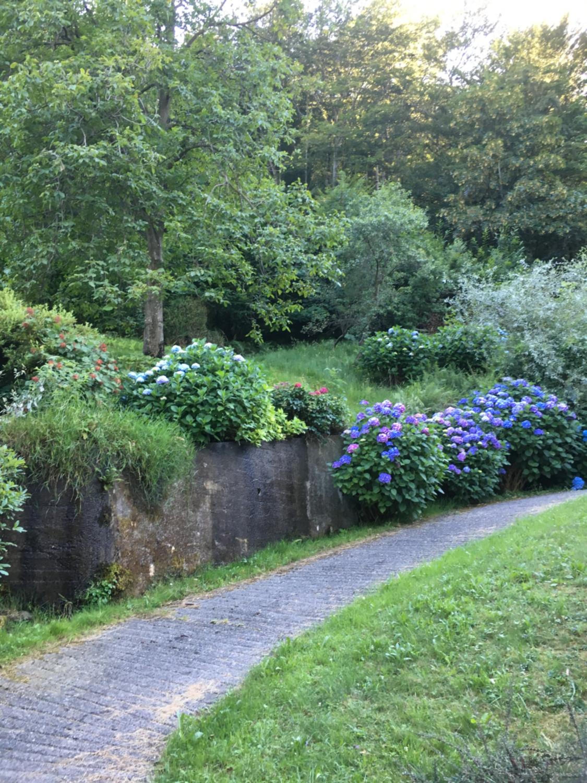 Photo 29