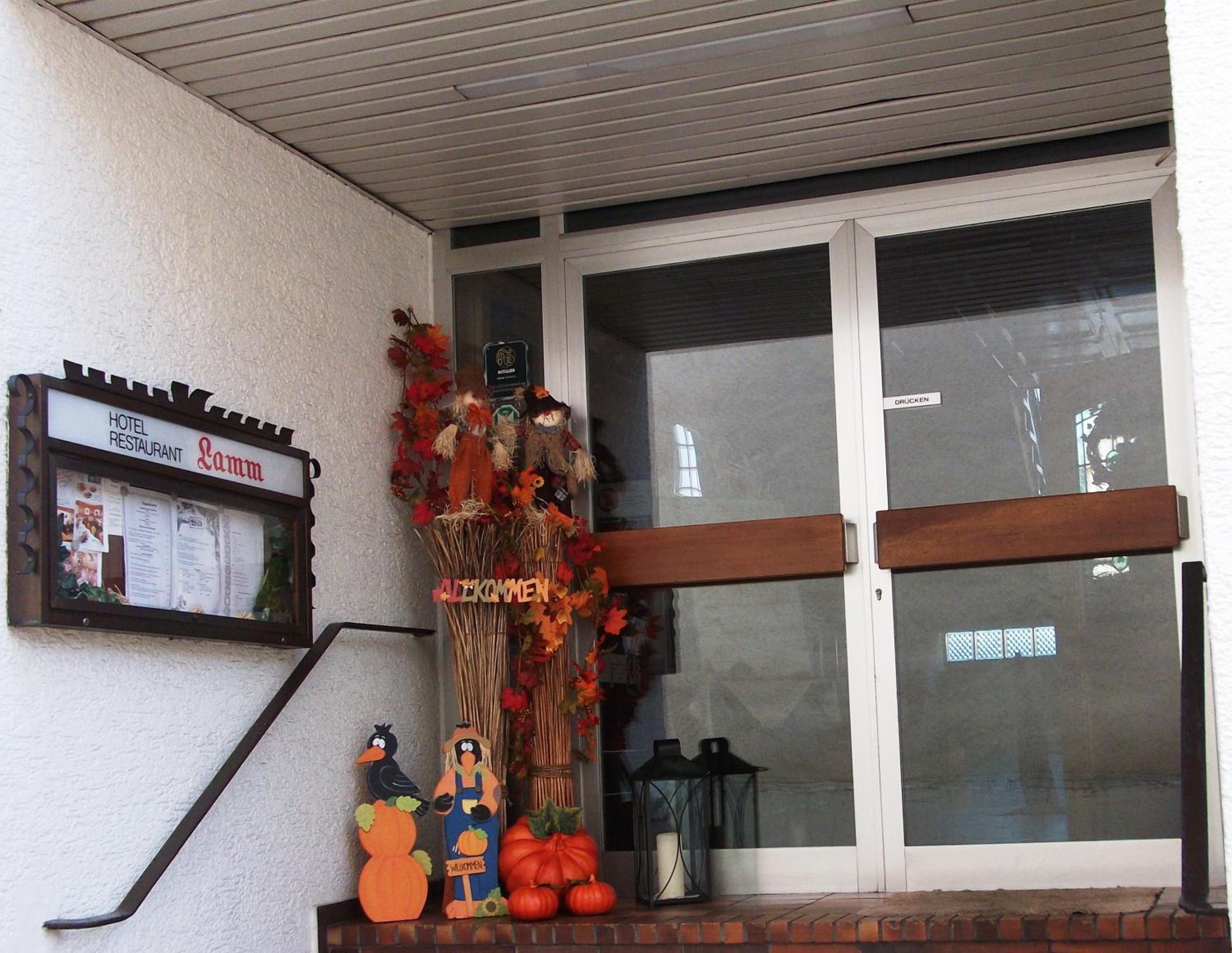 Hotel Lamm - Property Image 3