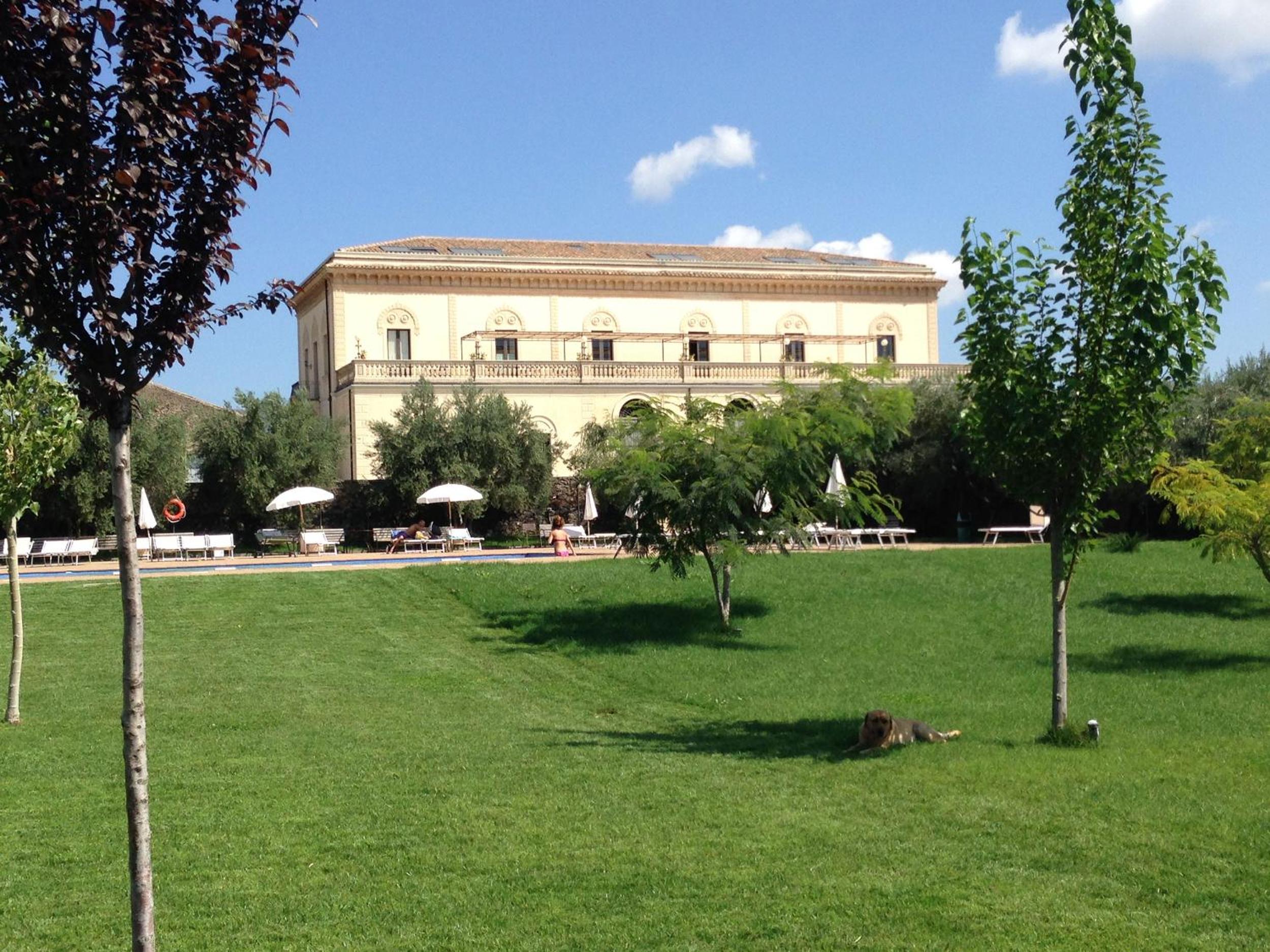 Photo 9