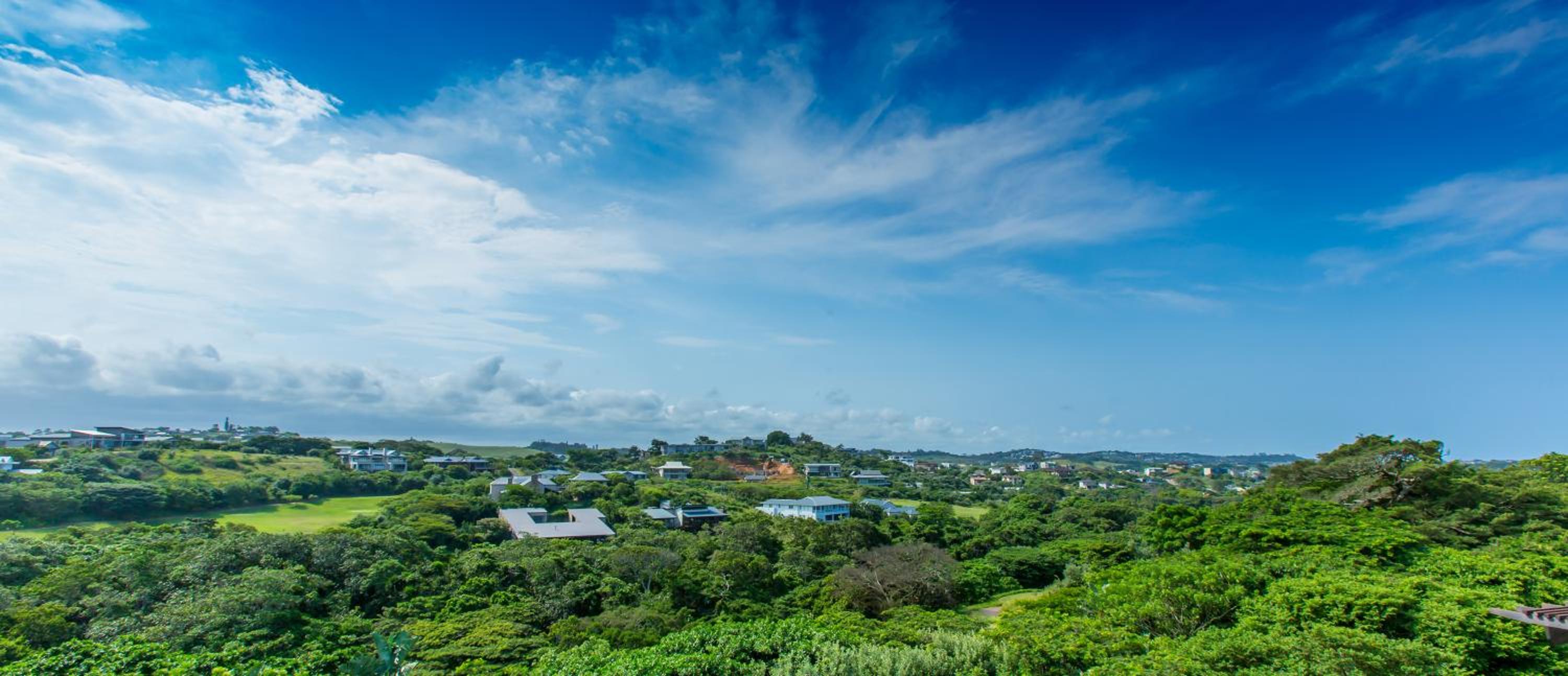 17 Feverberry view 2