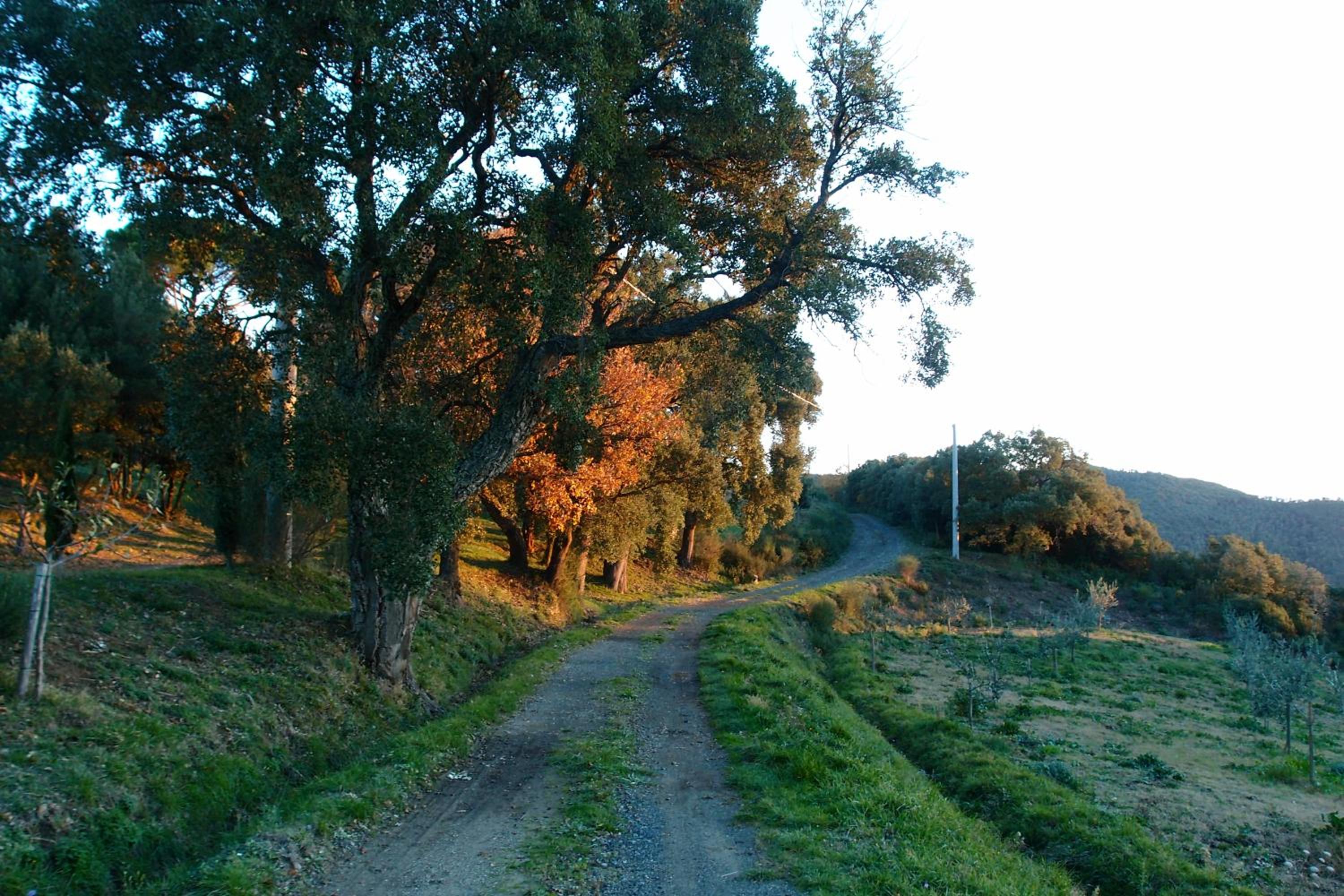 Photo 39