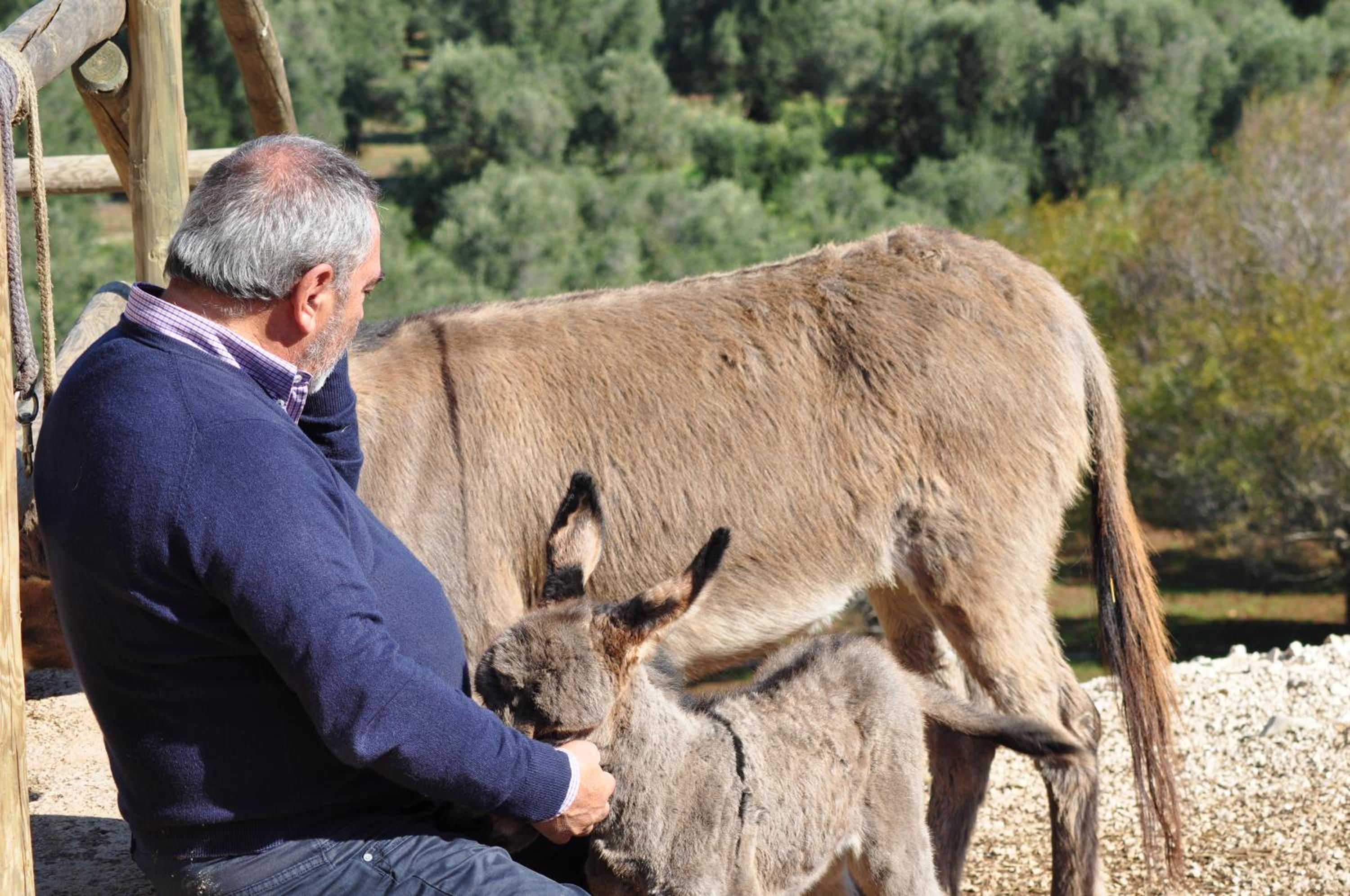 Masseria Le Terrazze di Serranova