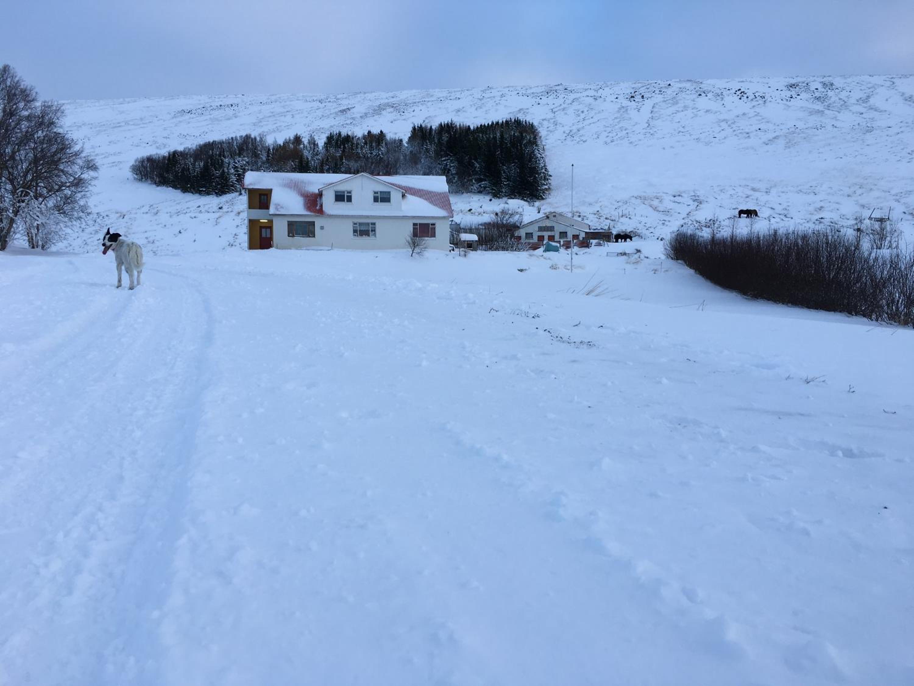 Öndólfsstaðir Farm B&B